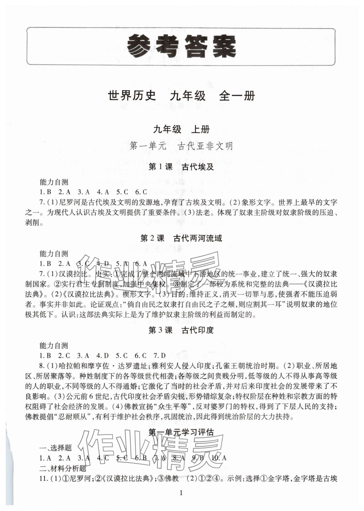 2025年智慧学习明天出版社九年级历史全一册 第1页