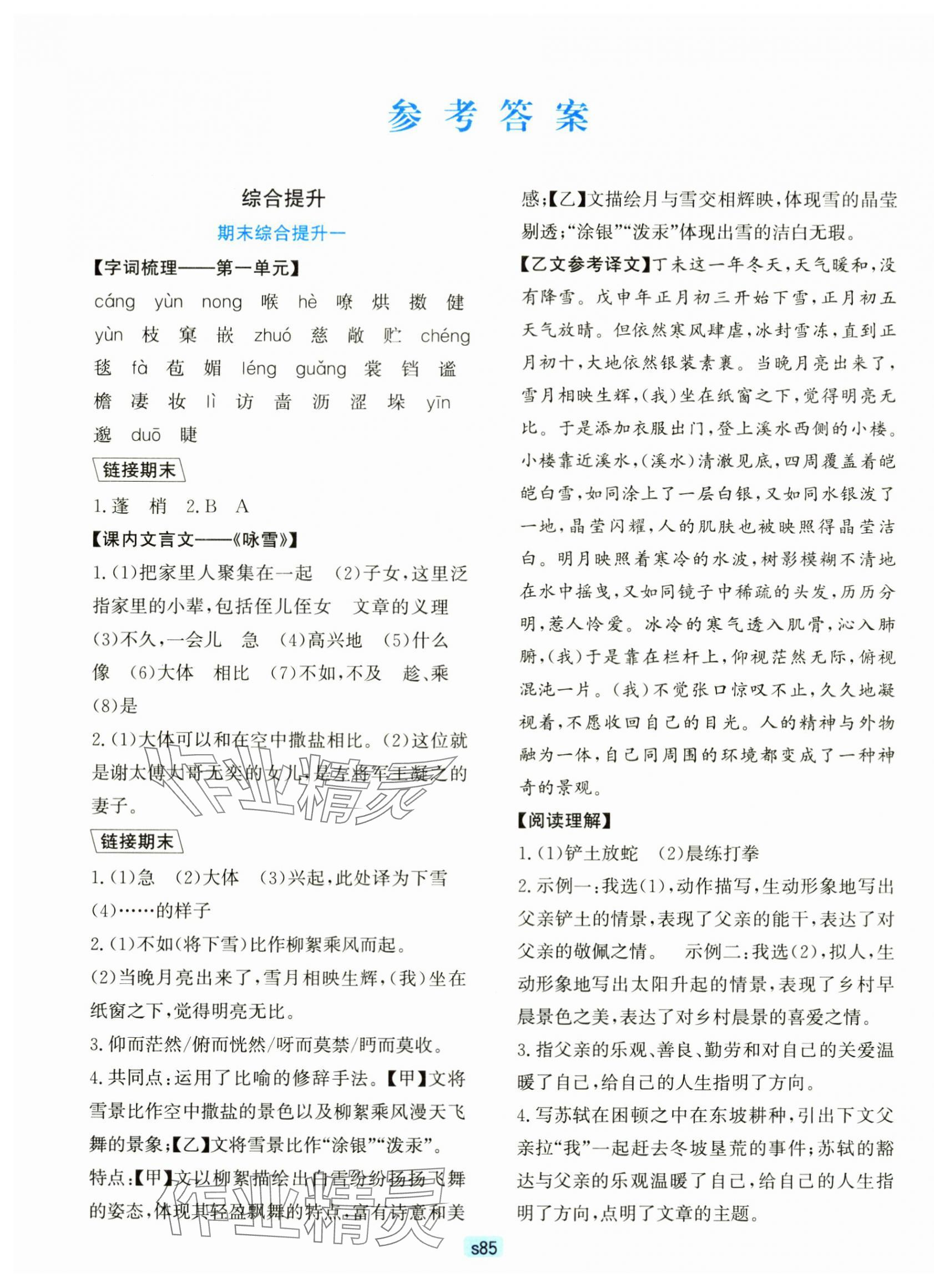 2024年初中全程階段測(cè)評(píng)卷七年級(jí)語(yǔ)文上冊(cè)人教版 第1頁(yè)