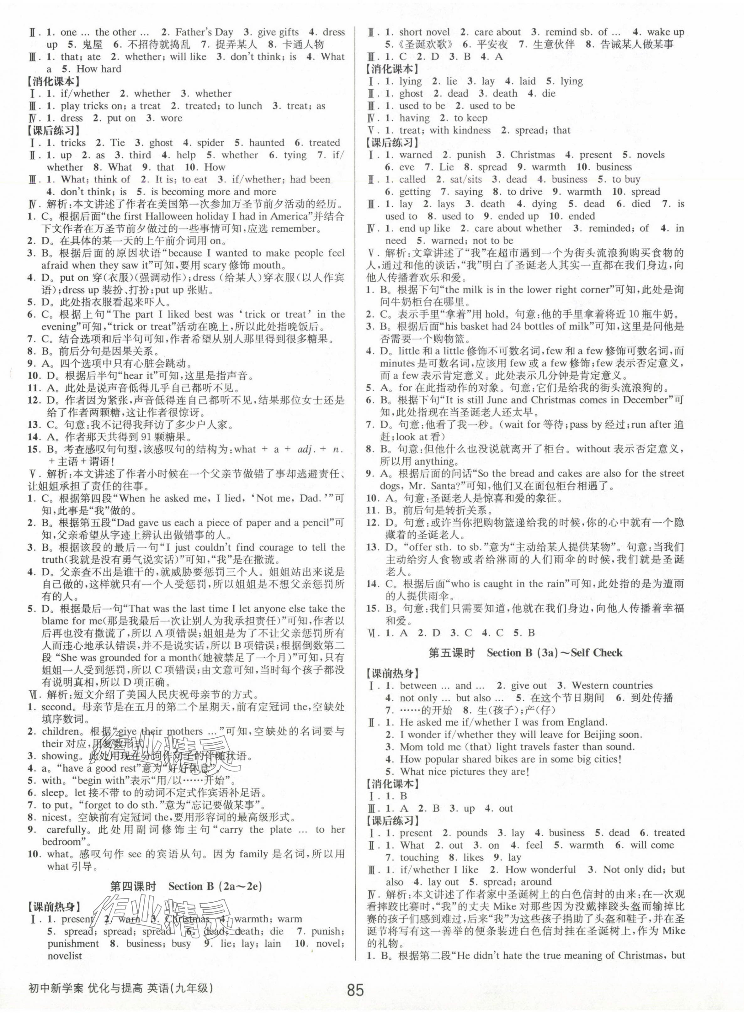 2024年初中新學(xué)案優(yōu)化與提高九年級英語全一冊人教版 第5頁