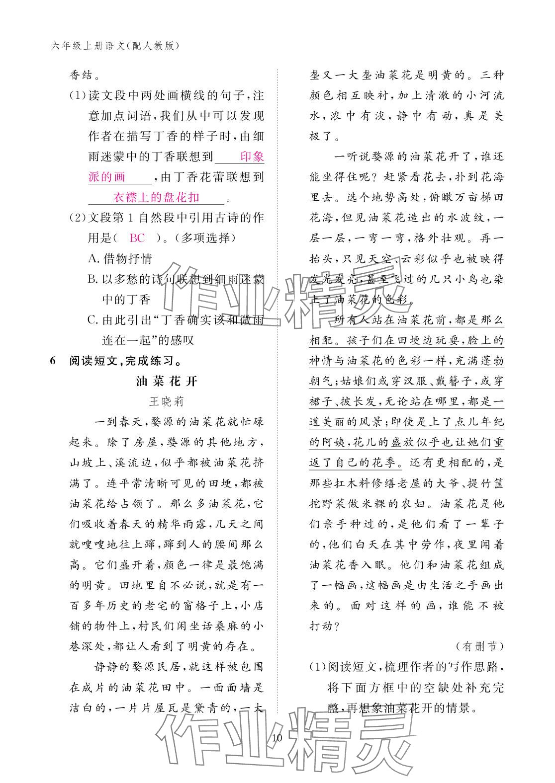 2025年作业本江西教育出版社六年级语文上册人教版 参考答案第10页
