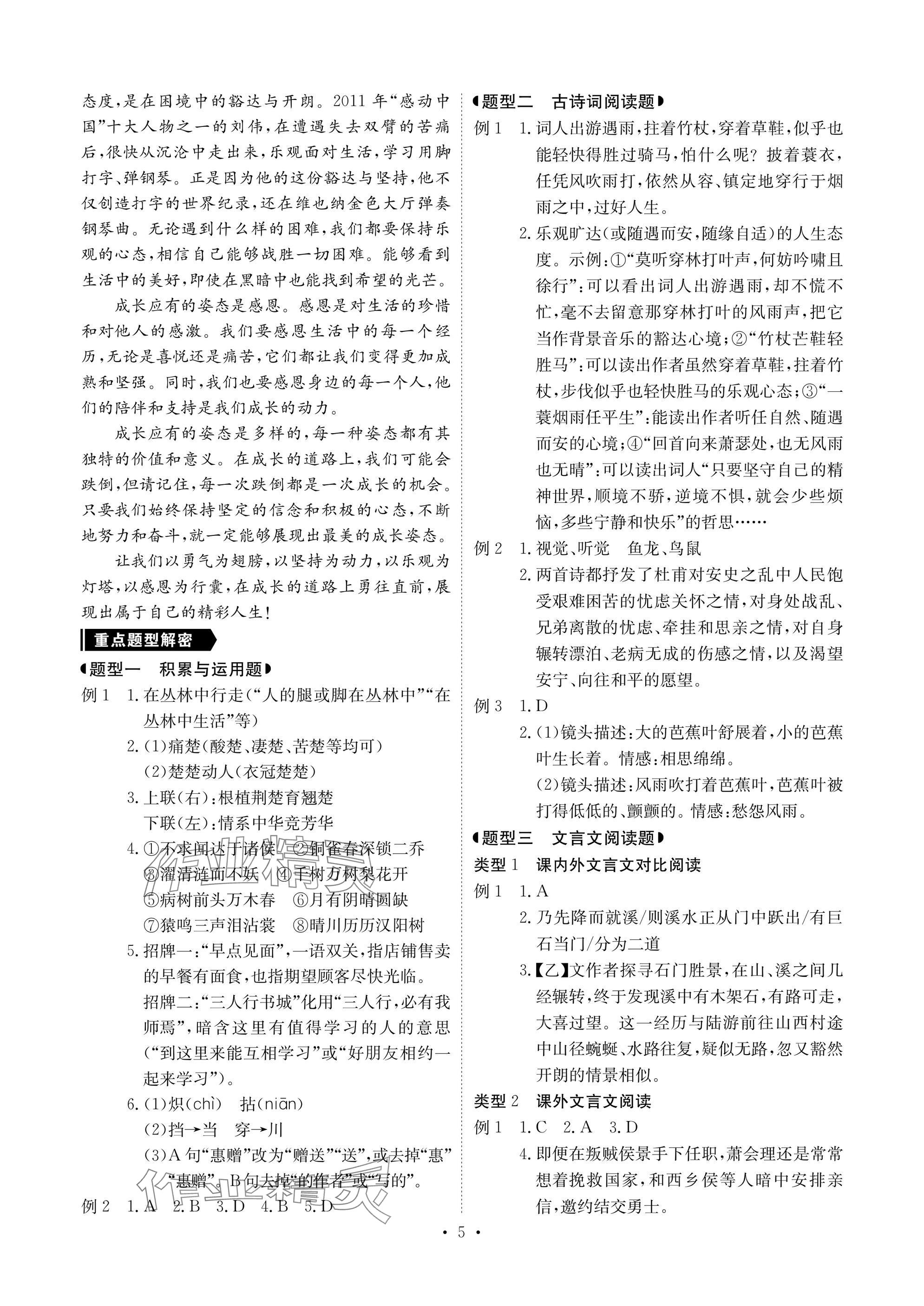 2025年新中考優化方案語文 參考答案第5頁