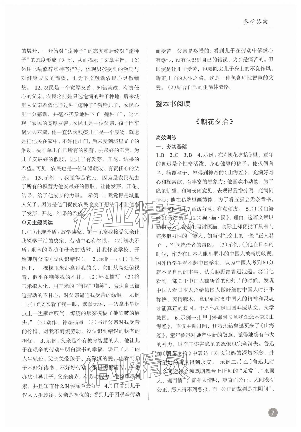 2024年初中語(yǔ)文大閱讀高效訓(xùn)練七年級(jí)上冊(cè)人教版浙江專版 參考答案第7頁(yè)