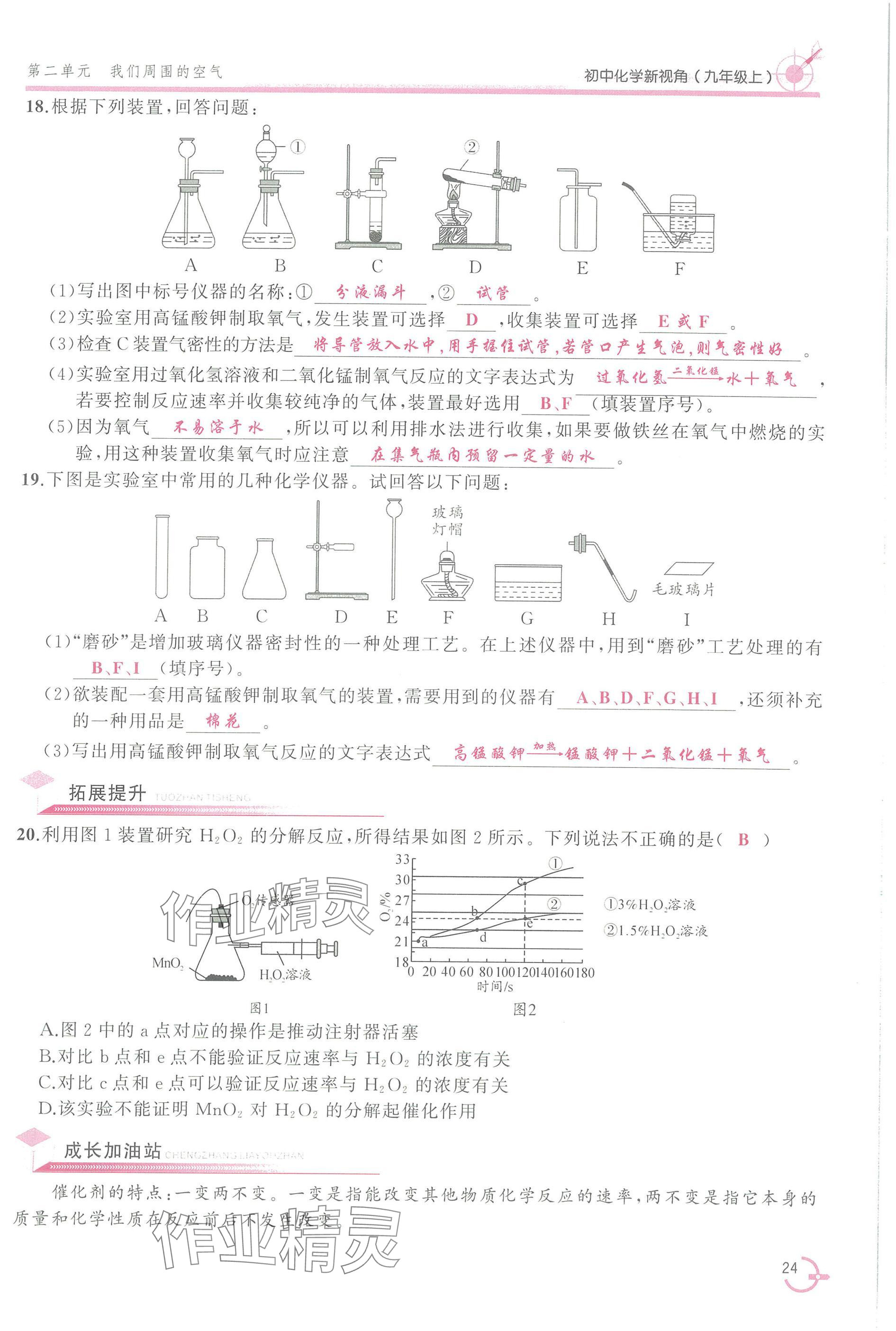 2025年新视角教辅系列丛书九年级化学上册人教版 参考答案第24页