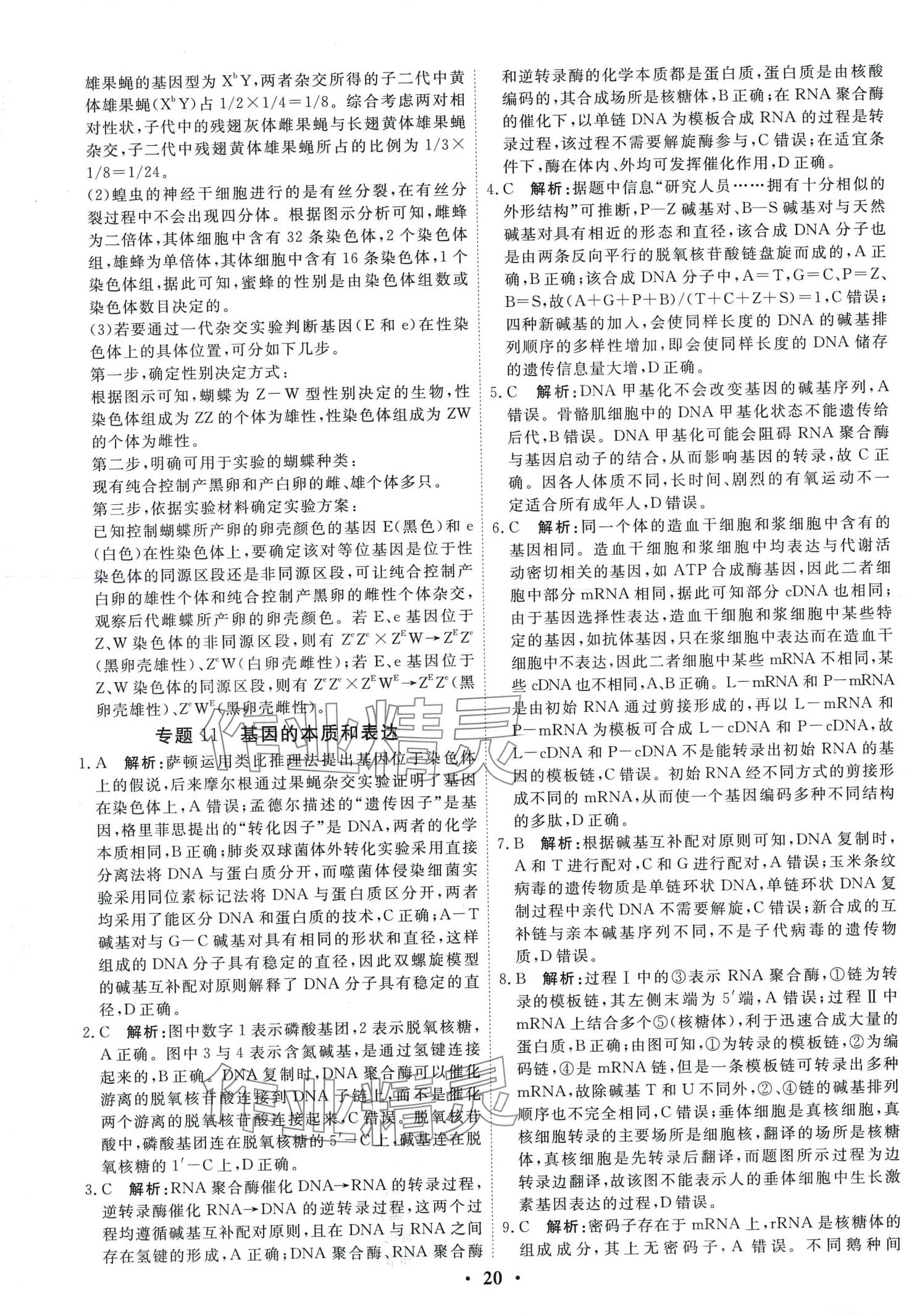 2024年衡水金卷高中生物通用版 第22頁(yè)
