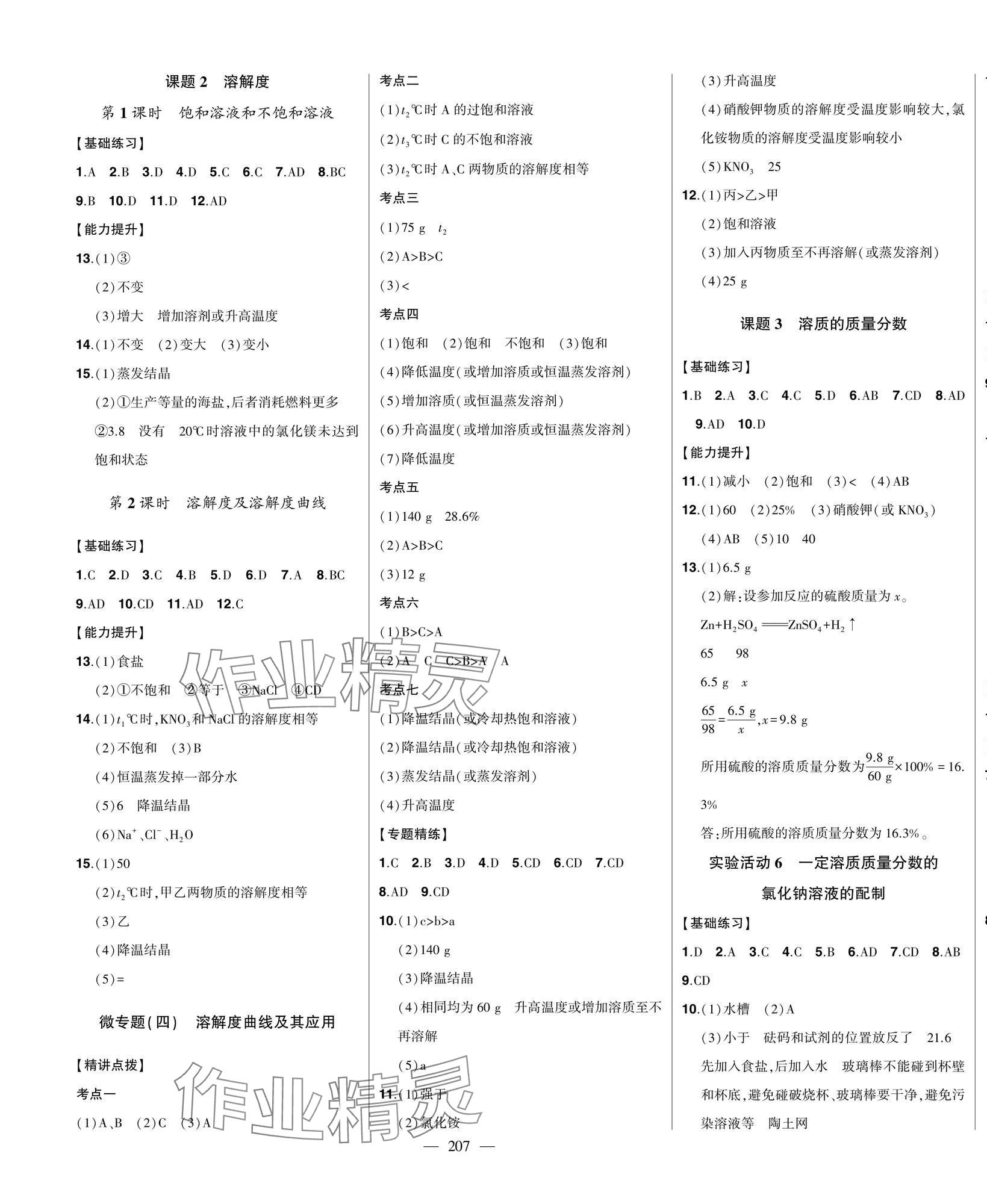 2025年初中新課標(biāo)名師學(xué)案智慧大課堂九年級化學(xué)下冊人教版 第5頁