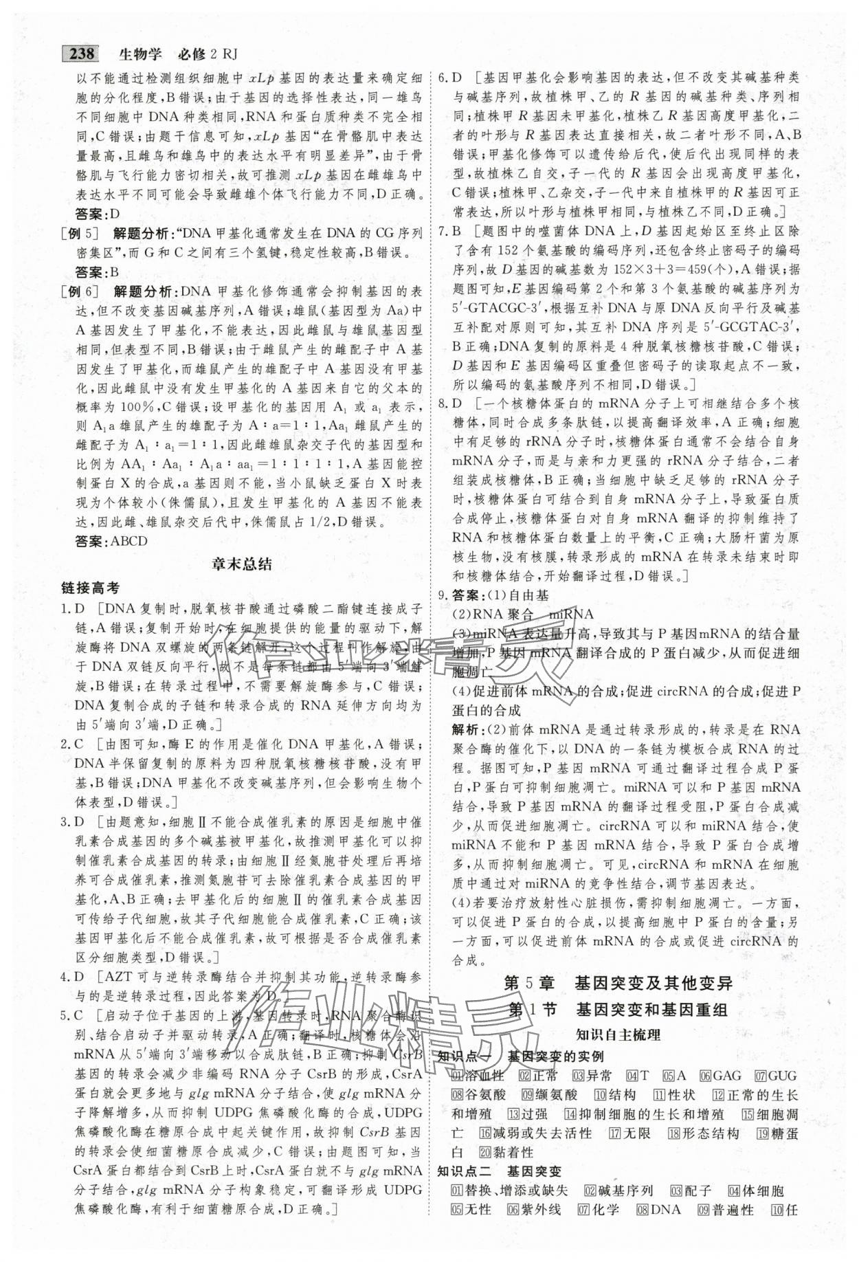 2025年金版教程高中新課程創新導學案生物必修2人教版 參考答案第16頁