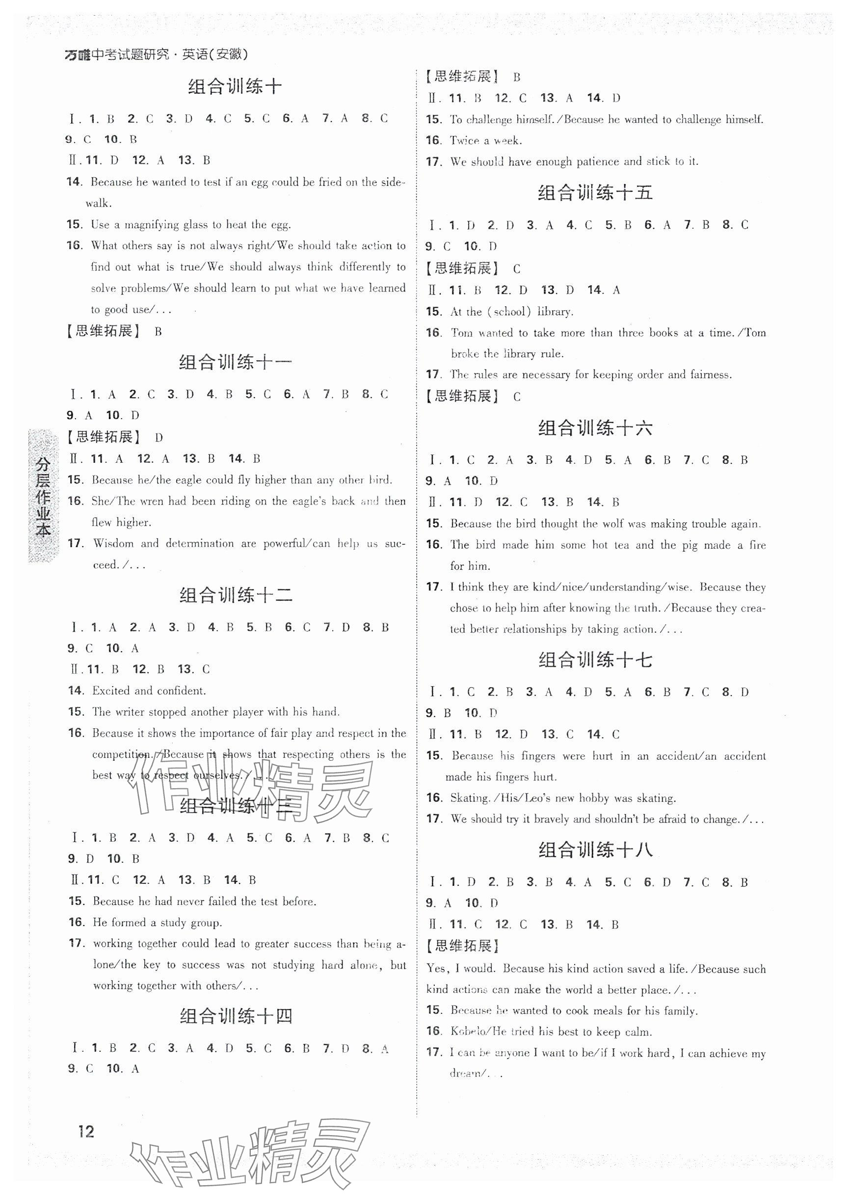2025年万唯中考试题研究九年级英语安徽专版 第12页