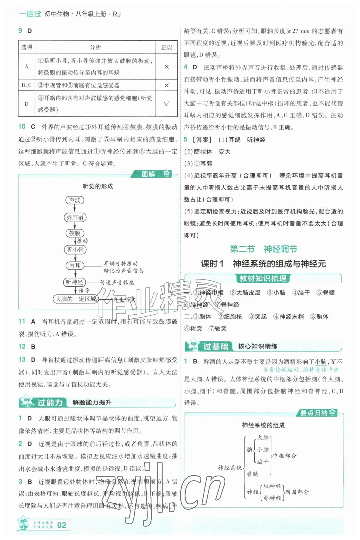 2026年一遍过八年级生物上册人教版&nbsp;参考答案第2页