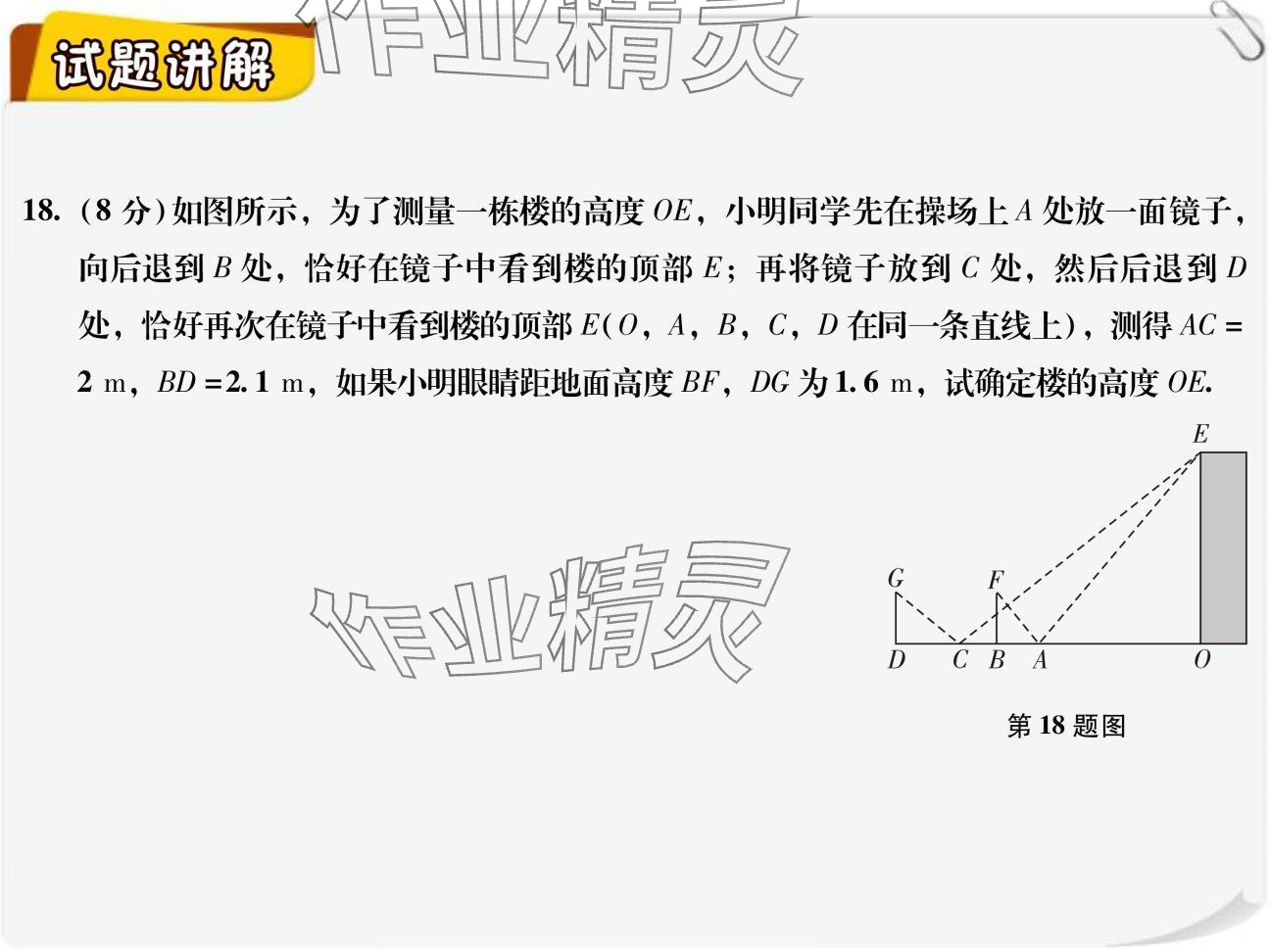 2024年復(fù)習(xí)直通車(chē)期末復(fù)習(xí)與假期作業(yè)九年級(jí)數(shù)學(xué)北師大版 參考答案第13頁(yè)