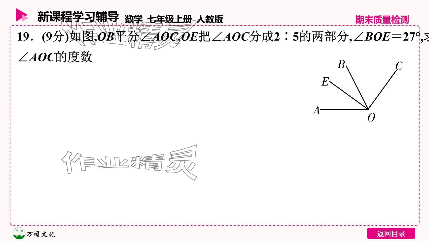 2024年新课程学习辅导七年级数学上册人教版 参考答案第17页