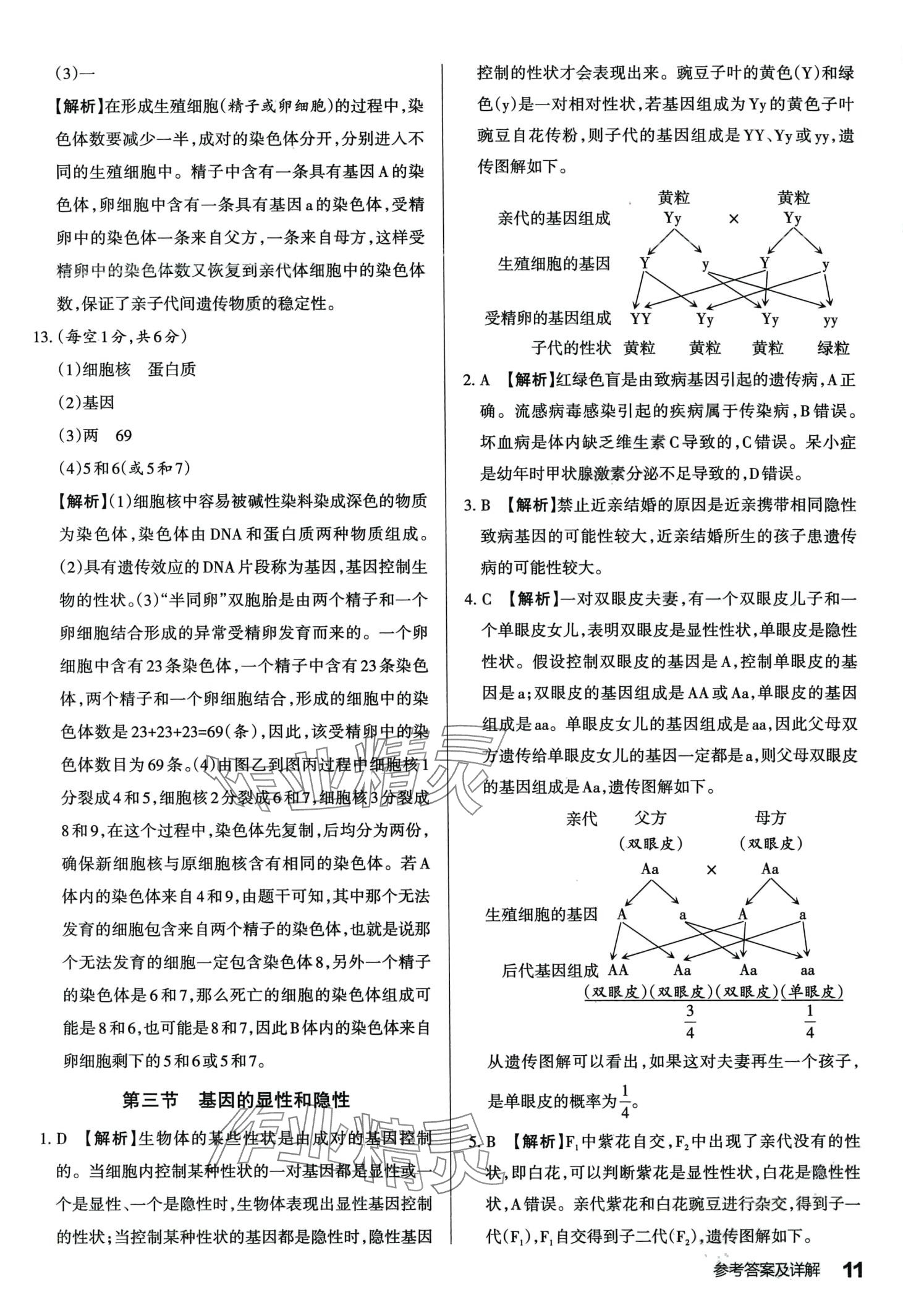 2024年满分训练设计八年级生物下册人教版 第10页