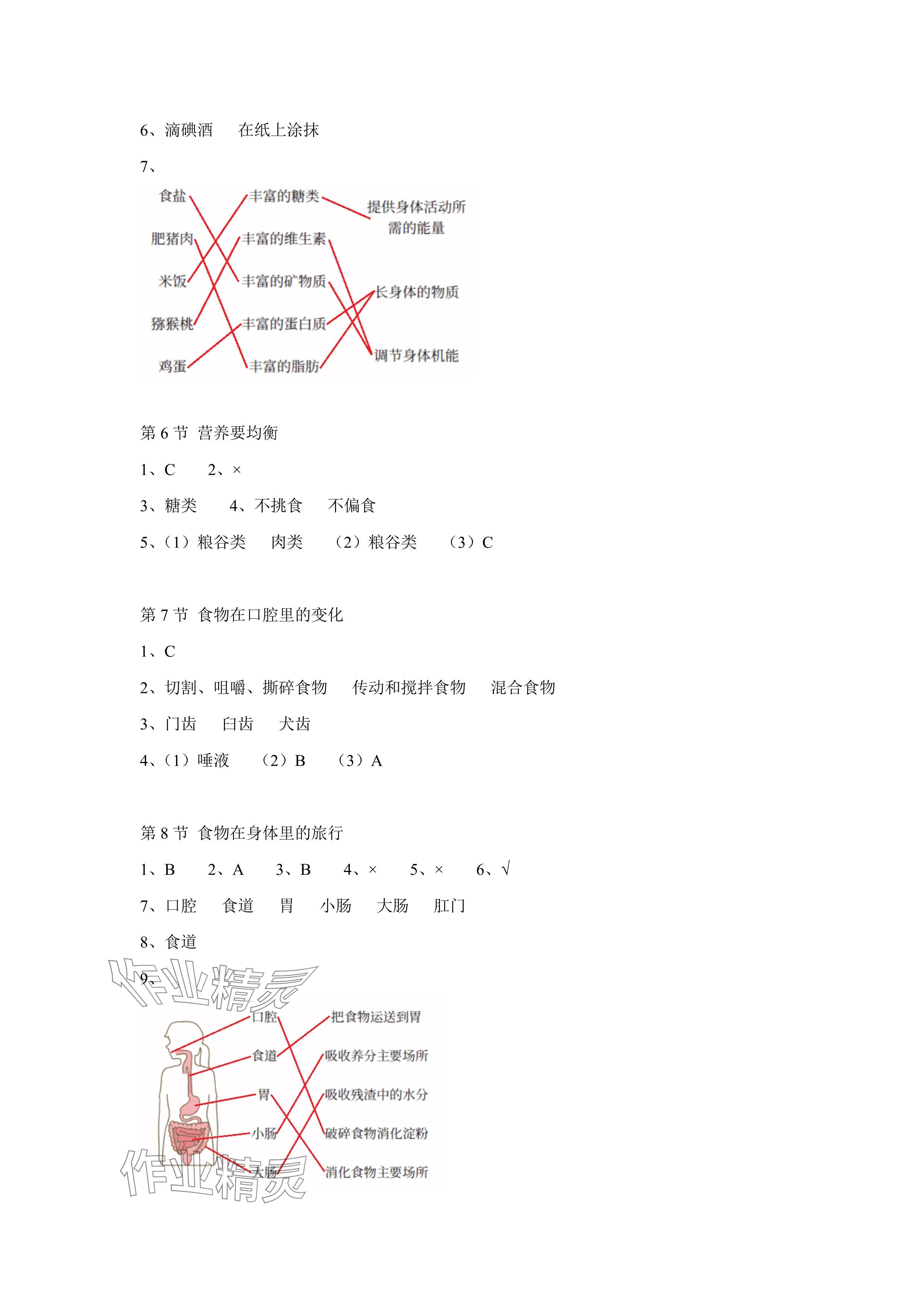 2024年科學(xué)課課練四年級科學(xué)上冊教科版 參考答案第4頁