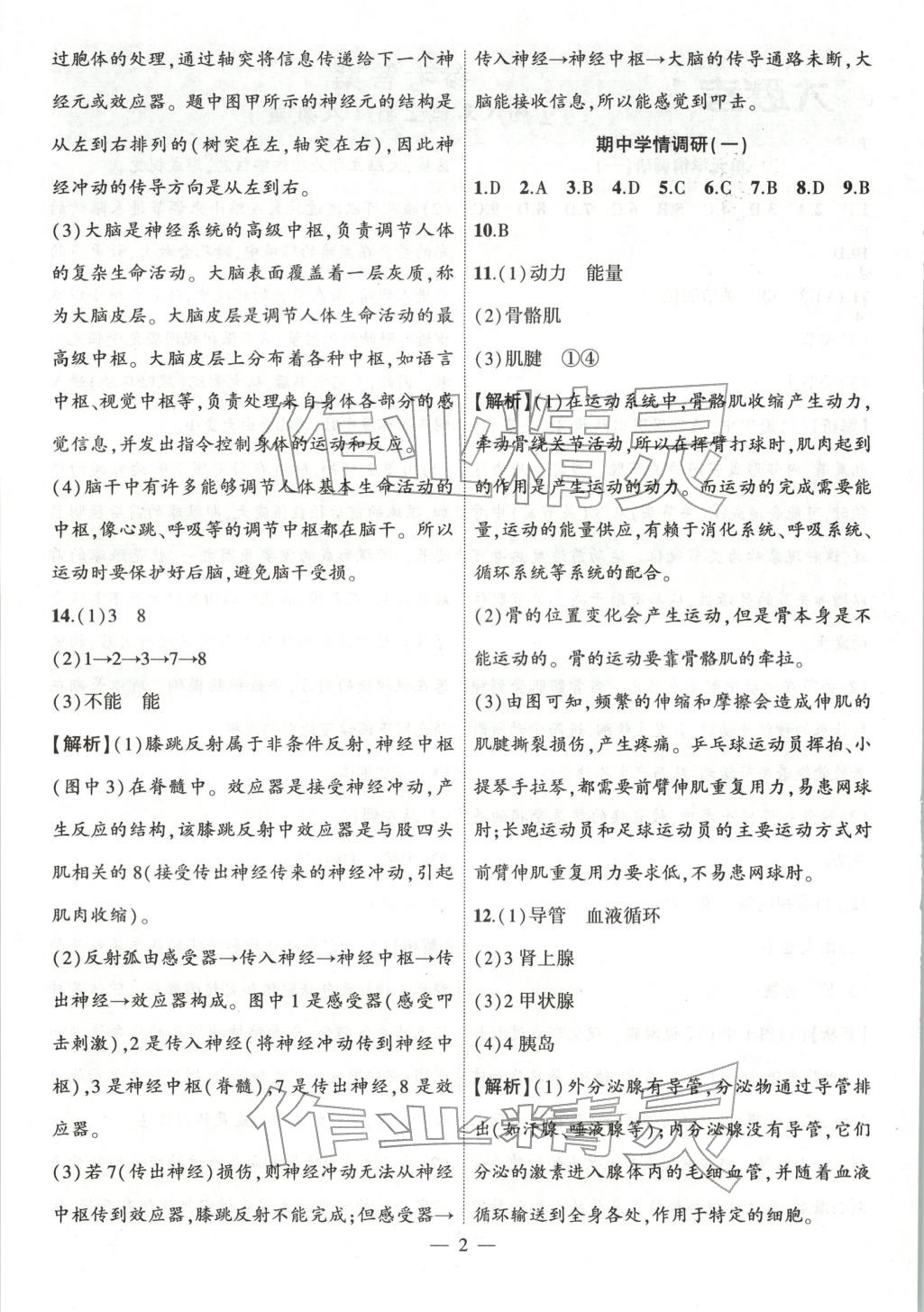 2025年大联考单元期末测试卷八年级生物上册人教版 第2页