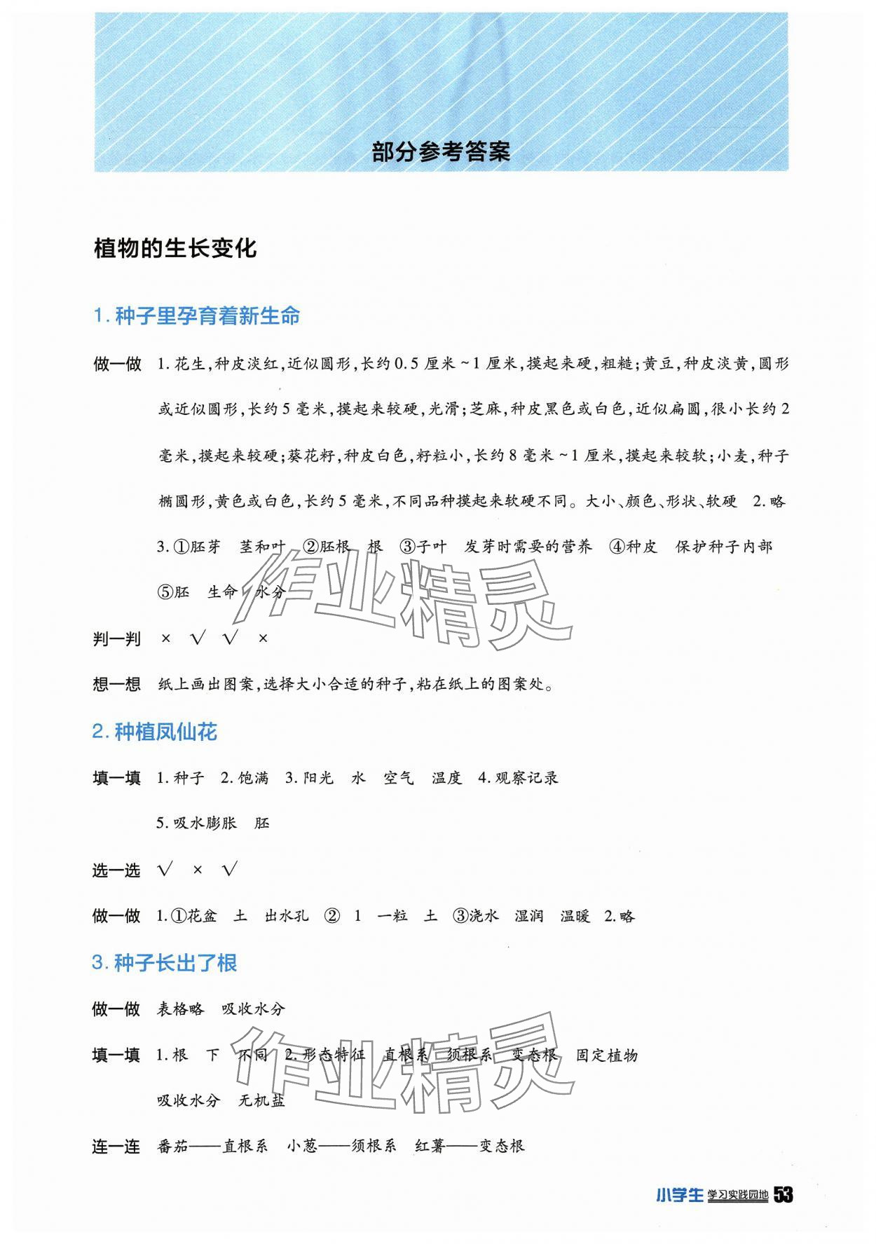 2024年學(xué)習(xí)實踐園地四年級科學(xué)下冊教科版 第1頁