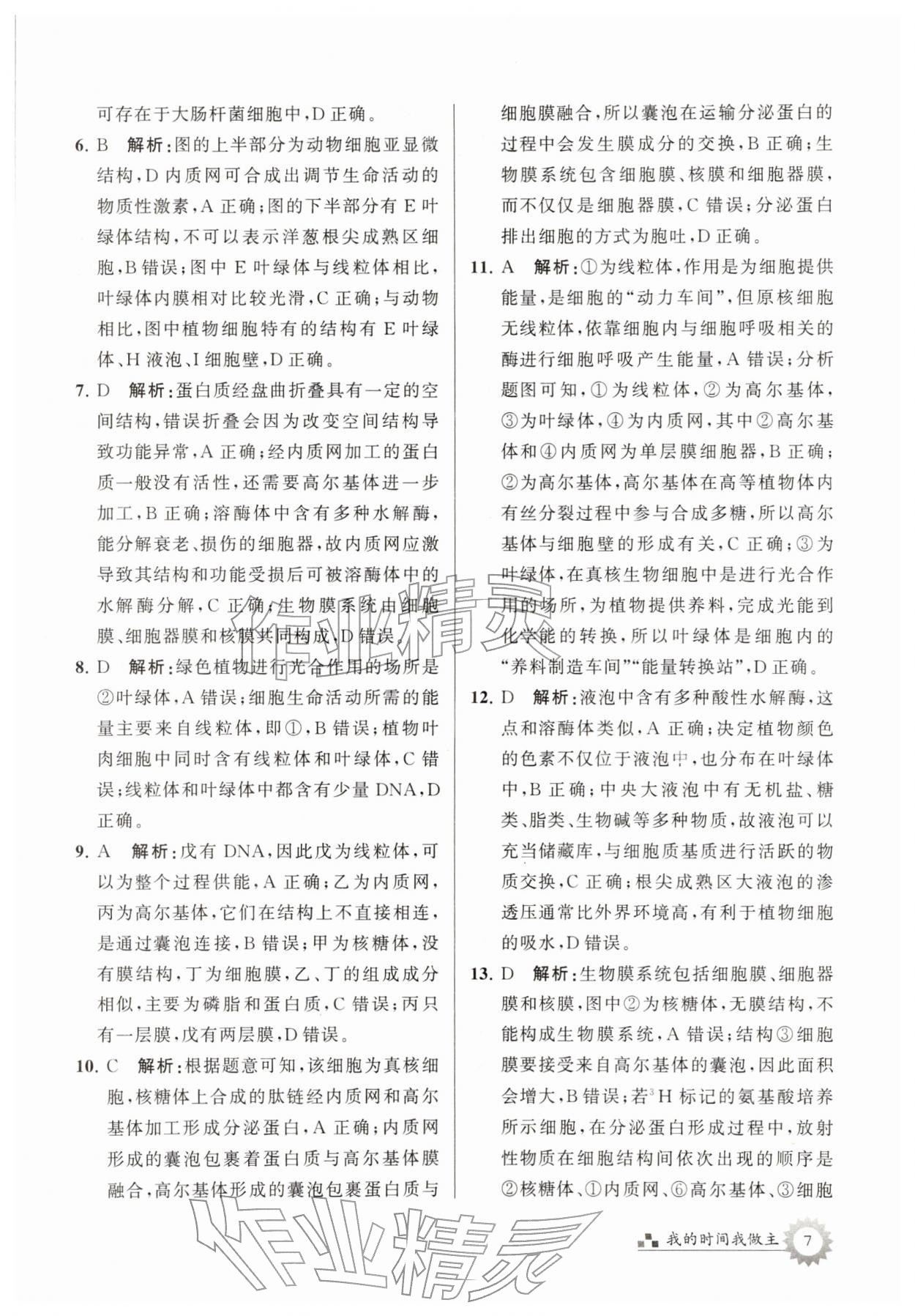 2026年最高考寒假作业高一生物&nbsp;第7页