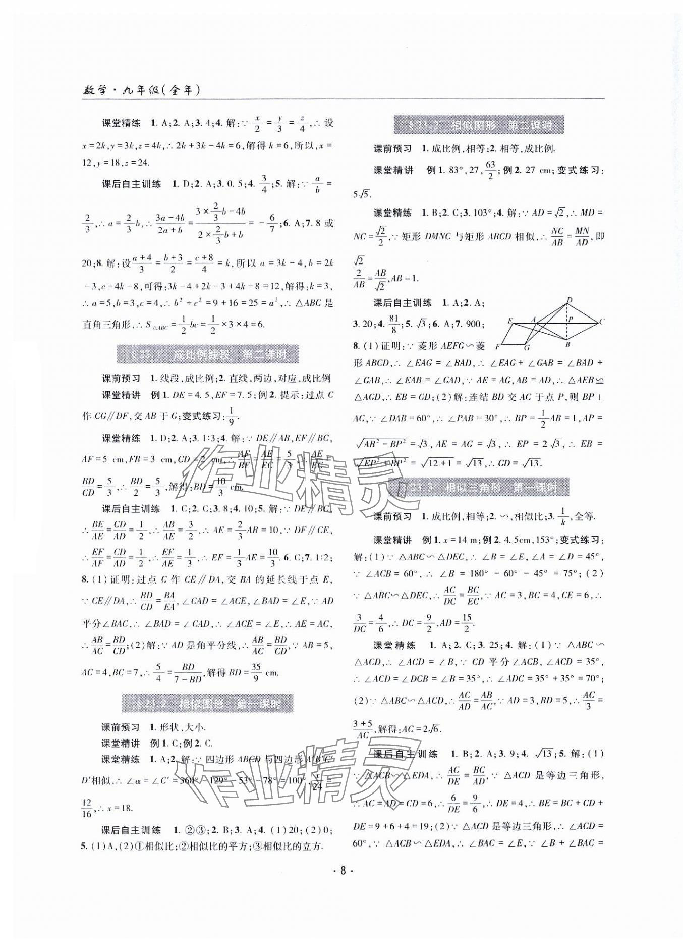 2024年理科愛好者九年級數(shù)學(xué)全一冊華師大版第13期 第7頁