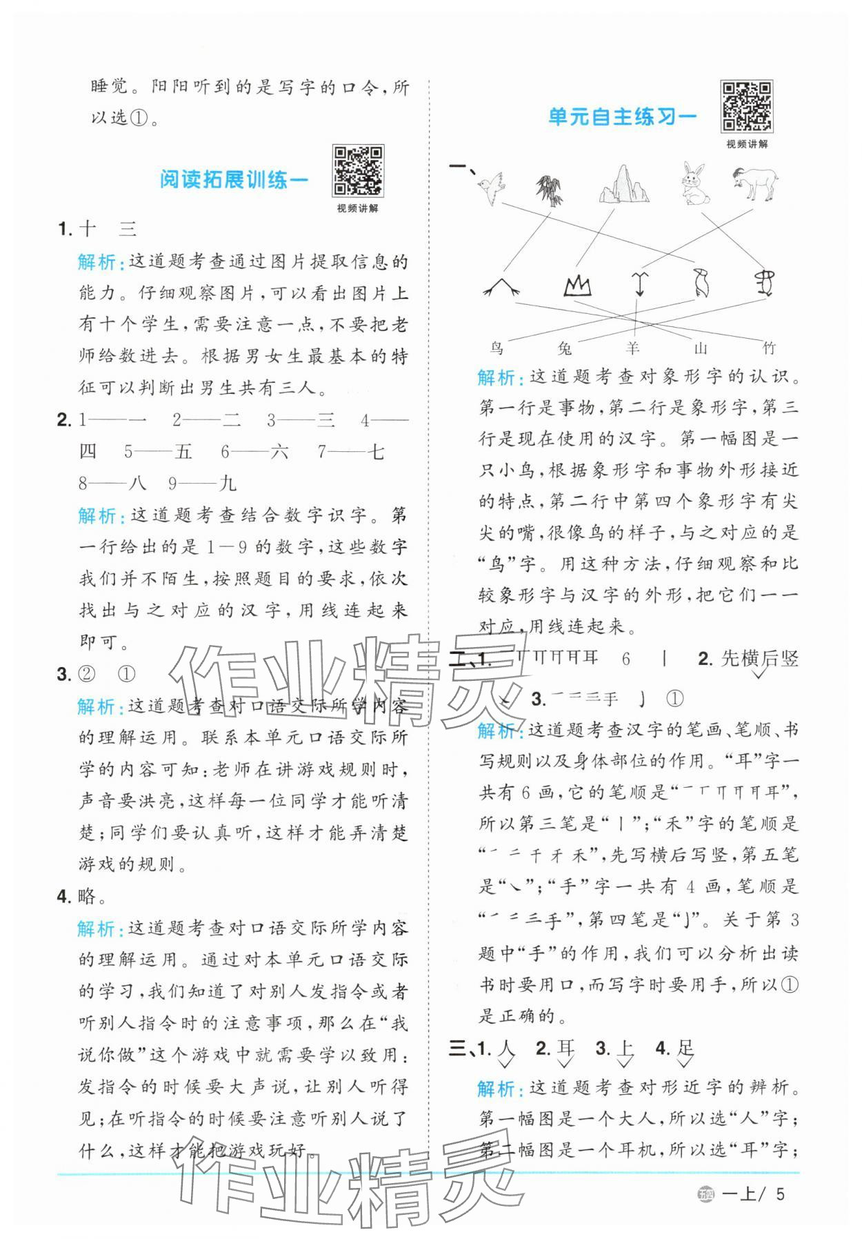 2025年阳光同学课时优化作业一年级语文上册人教版五四制&nbsp;参考答案第5页