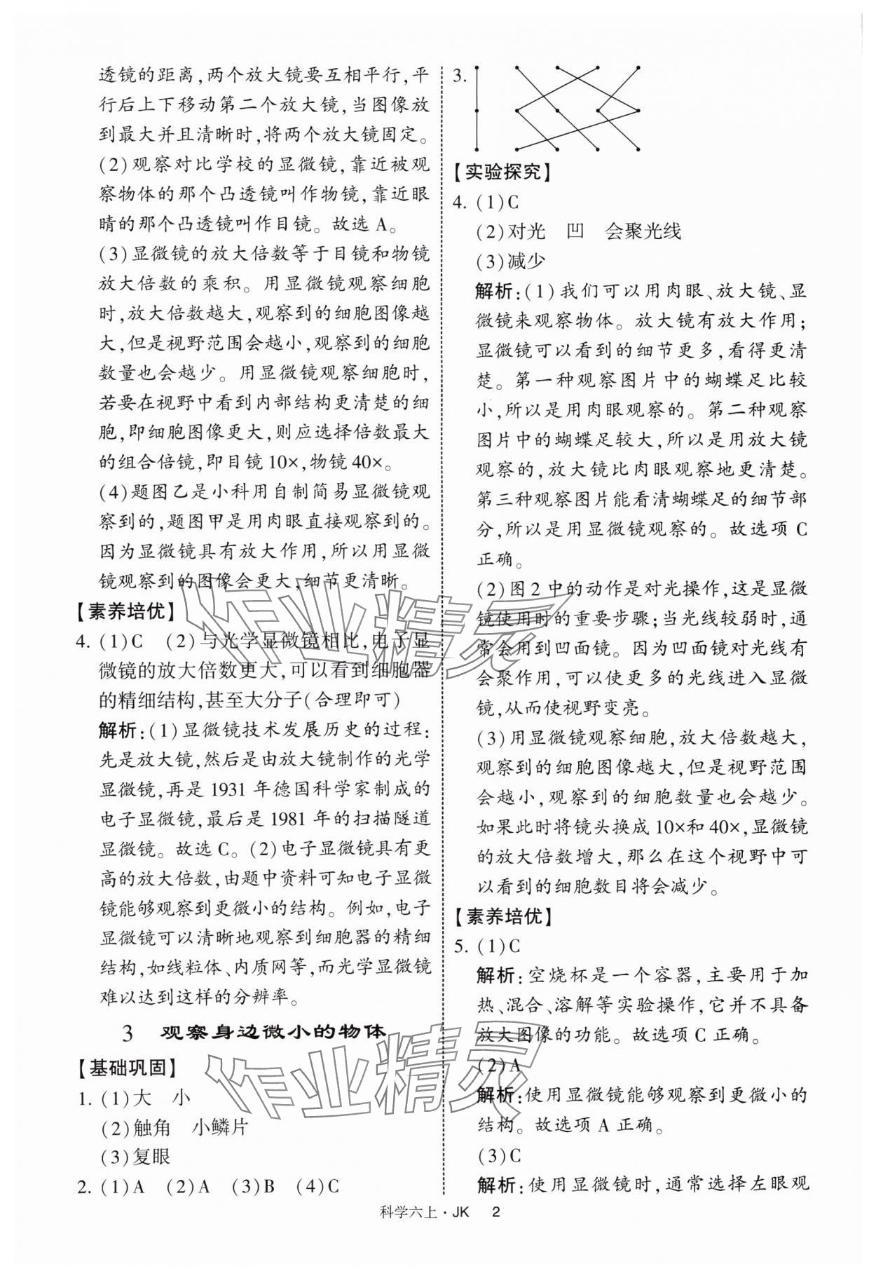 2025年經(jīng)綸學(xué)典提高班六年級科學(xué)上冊教科版 第2頁