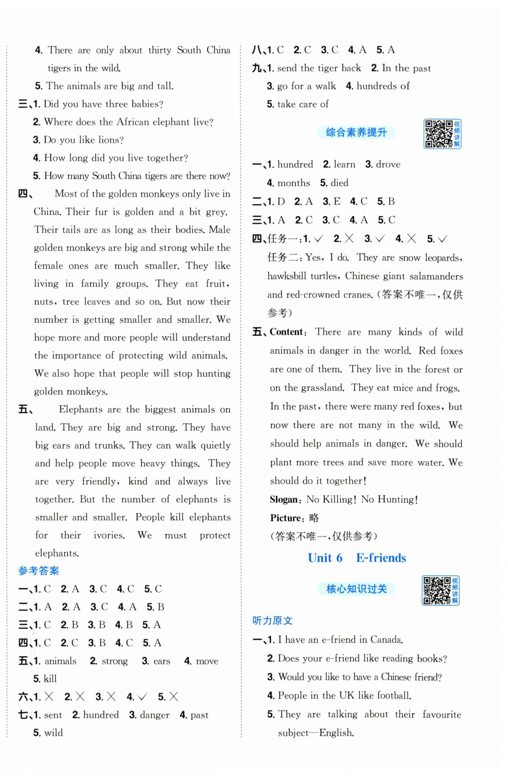 2025年阳光同学课时优化作业六年级英语上册沪教牛津版深圳专版 第6页