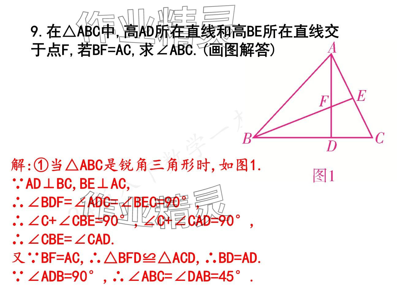 2025年一本通武漢出版社八年級(jí)數(shù)學(xué)下冊(cè)北師大版核心板 參考答案第97頁(yè)