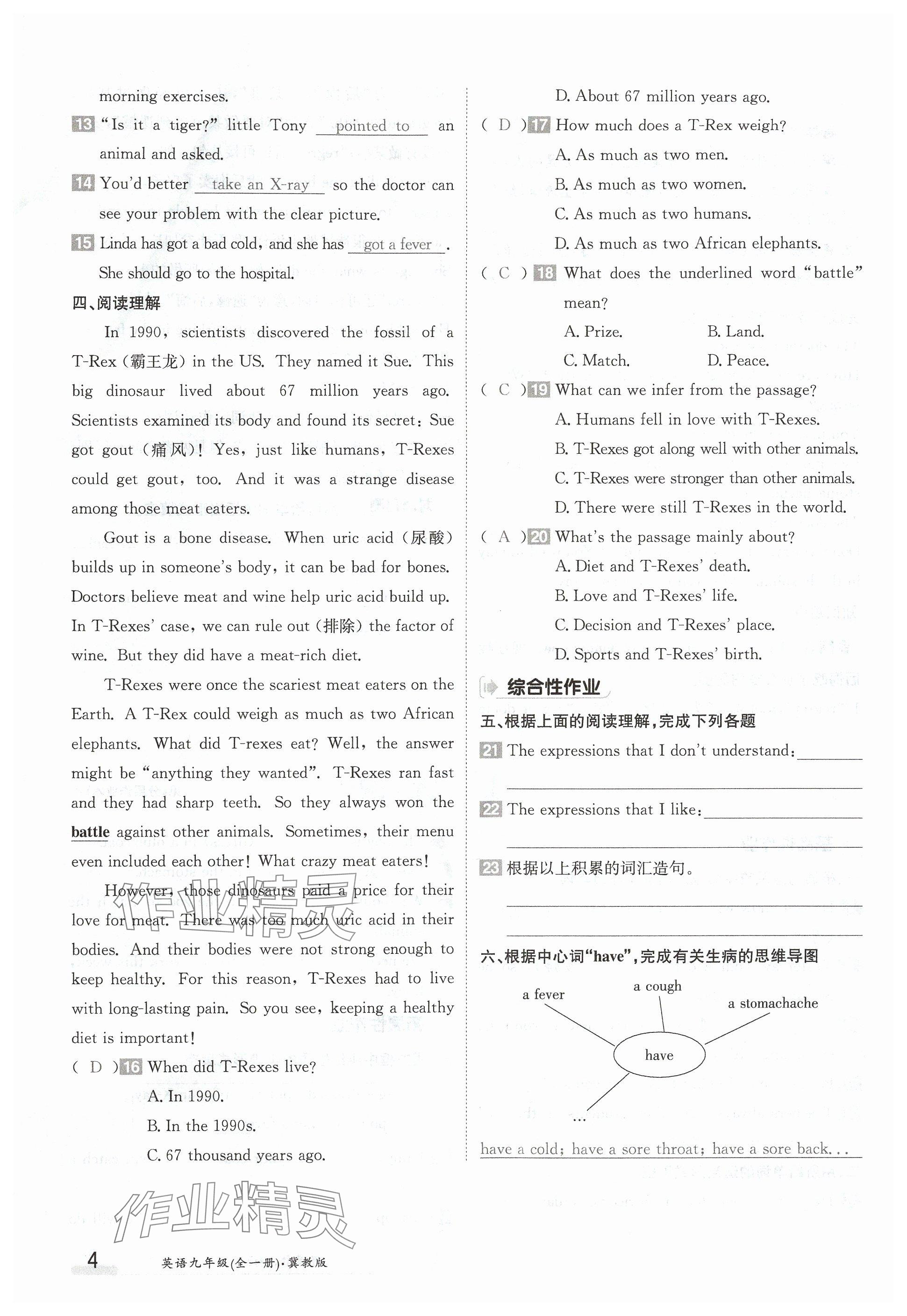 2024年金太陽導(dǎo)學(xué)案九年級(jí)英語全一冊(cè)冀教版 參考答案第4頁