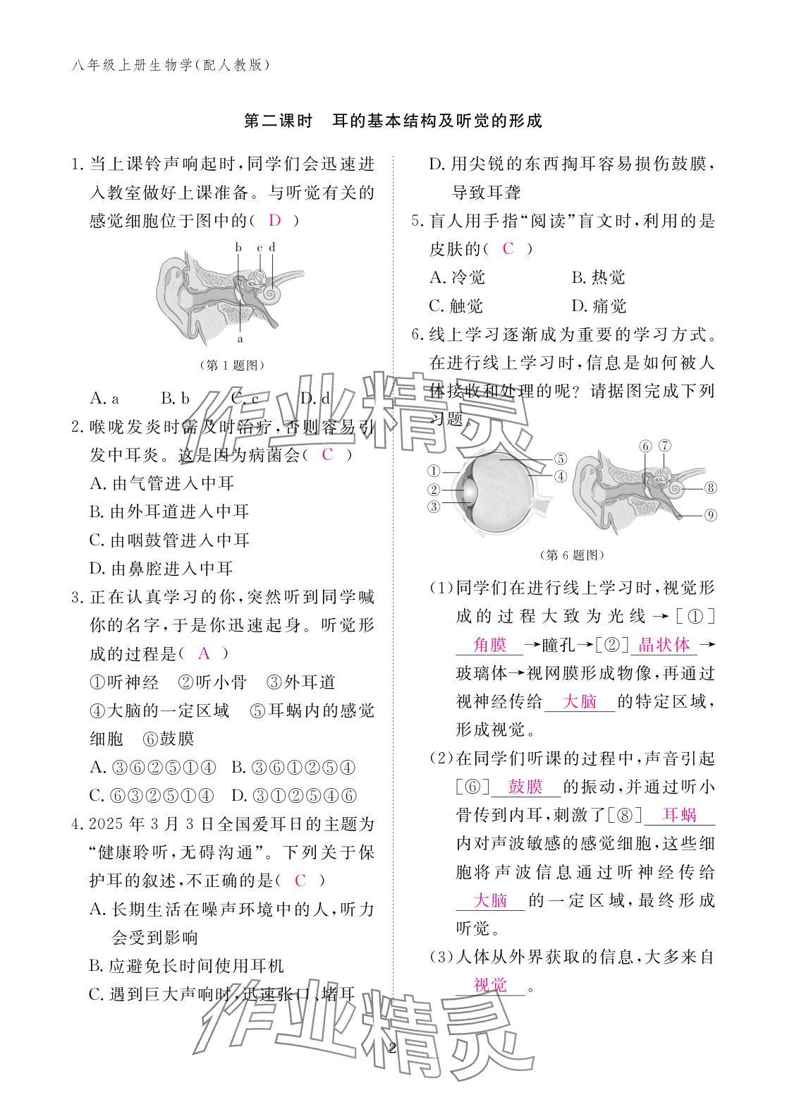 2025年作业本江西教育出版社八年级生物上册人教版 参考答案第2页