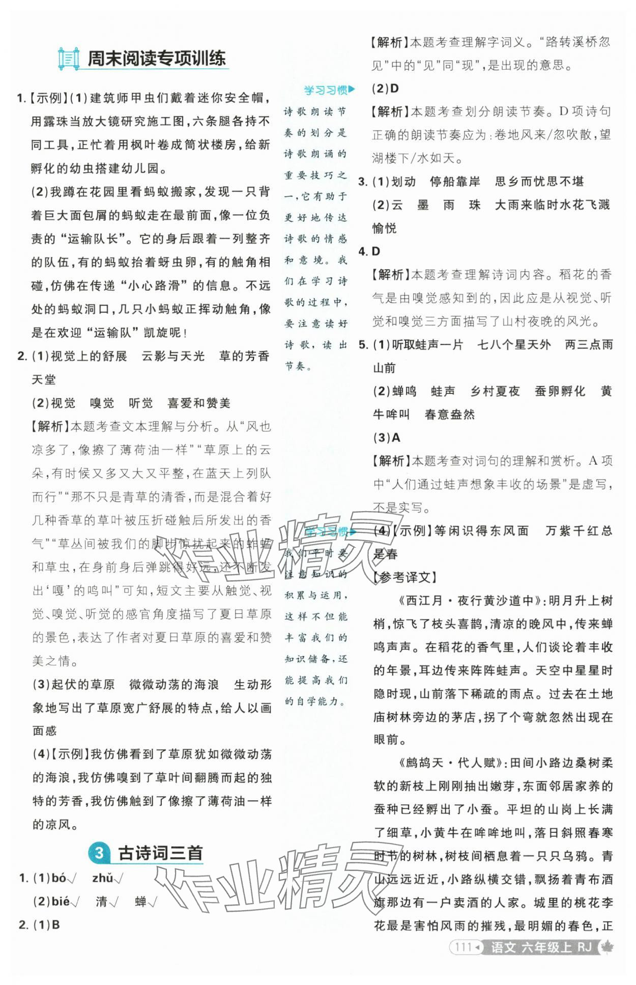 2025年小學(xué)必刷題六年級語文上冊人教版 參考答案第3頁