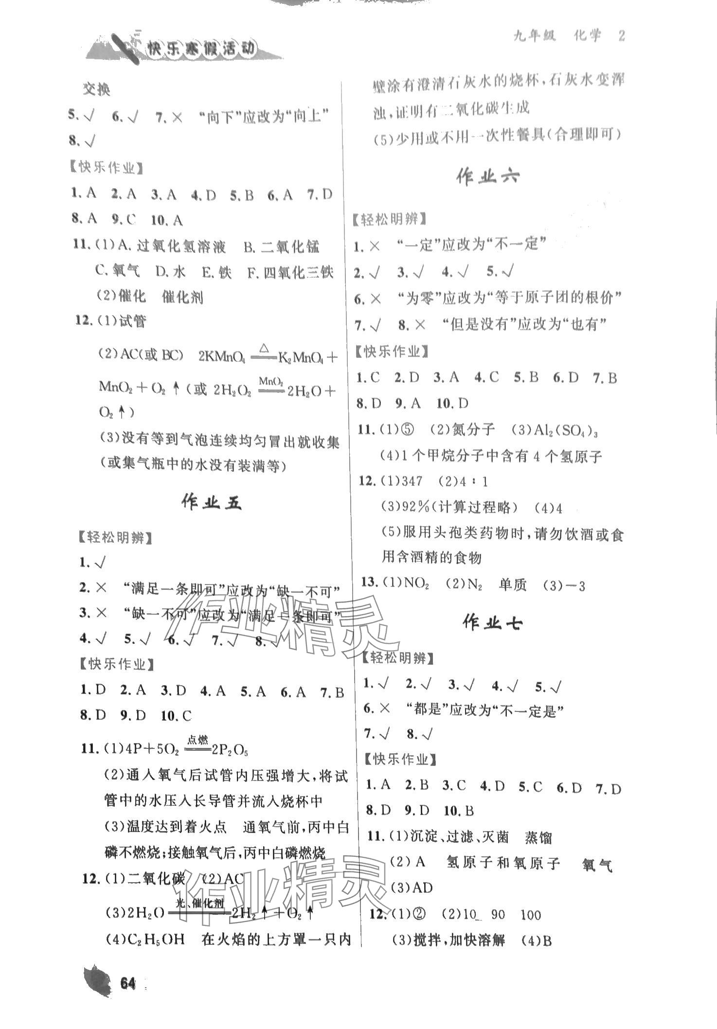 2024年快樂寒假活動九年級化學 第2頁