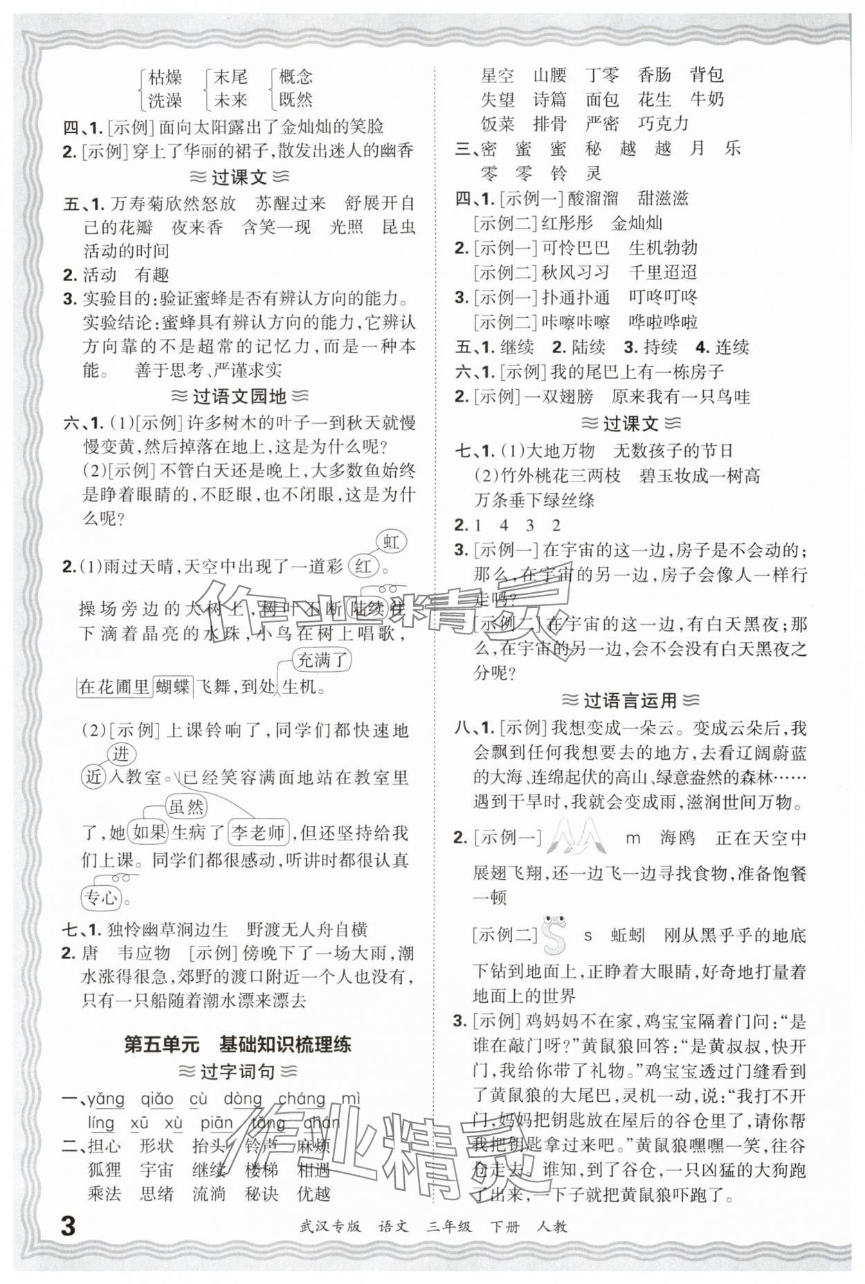 2025年王朝霞期末真題精編三年級(jí)語(yǔ)文下冊(cè)人教版武漢專版 參考答案第3頁(yè)