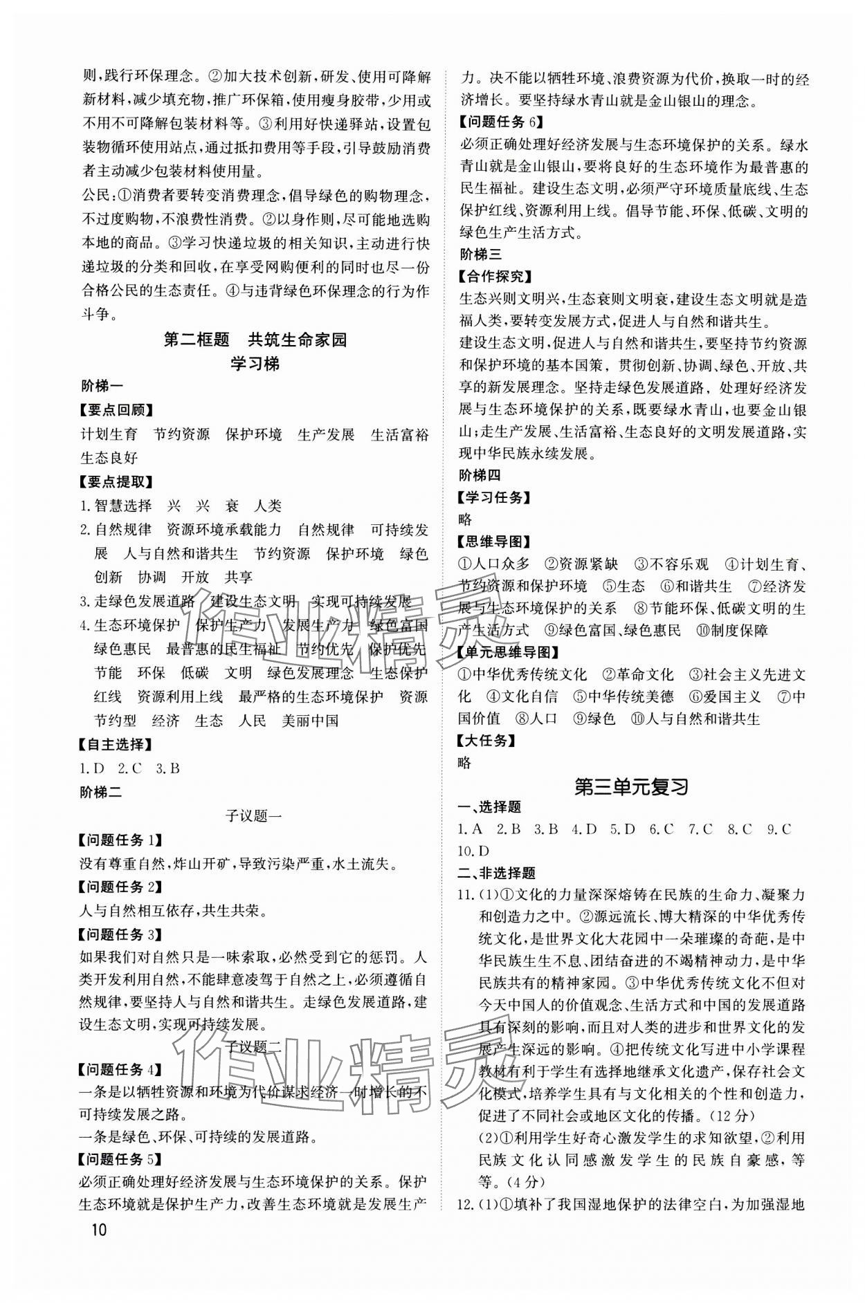 2023年新結構學習測評九年級道德與法治全一冊人教版 第10頁