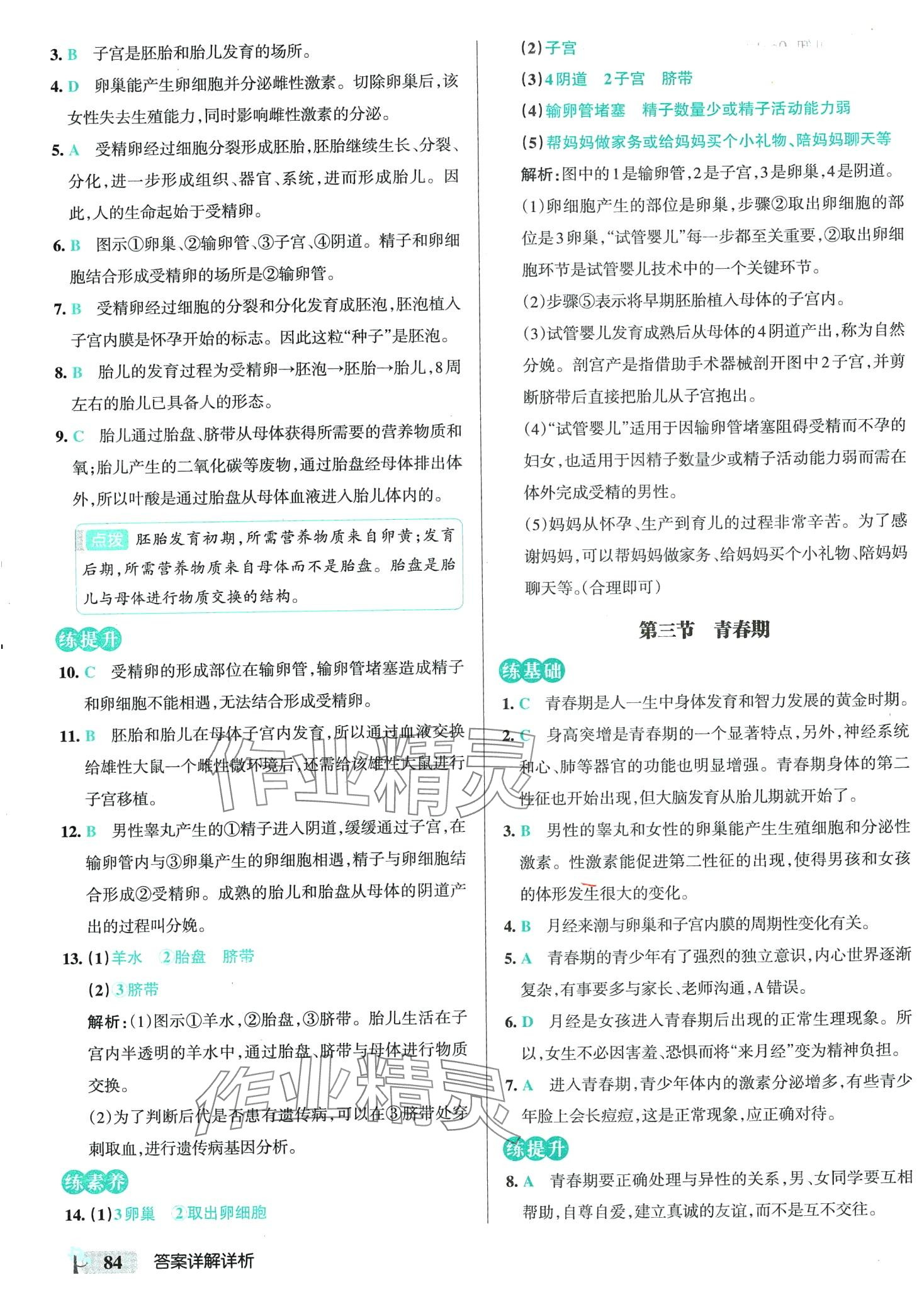 2024年初中學霸創(chuàng)新題七年級生物下冊人教版 第2頁