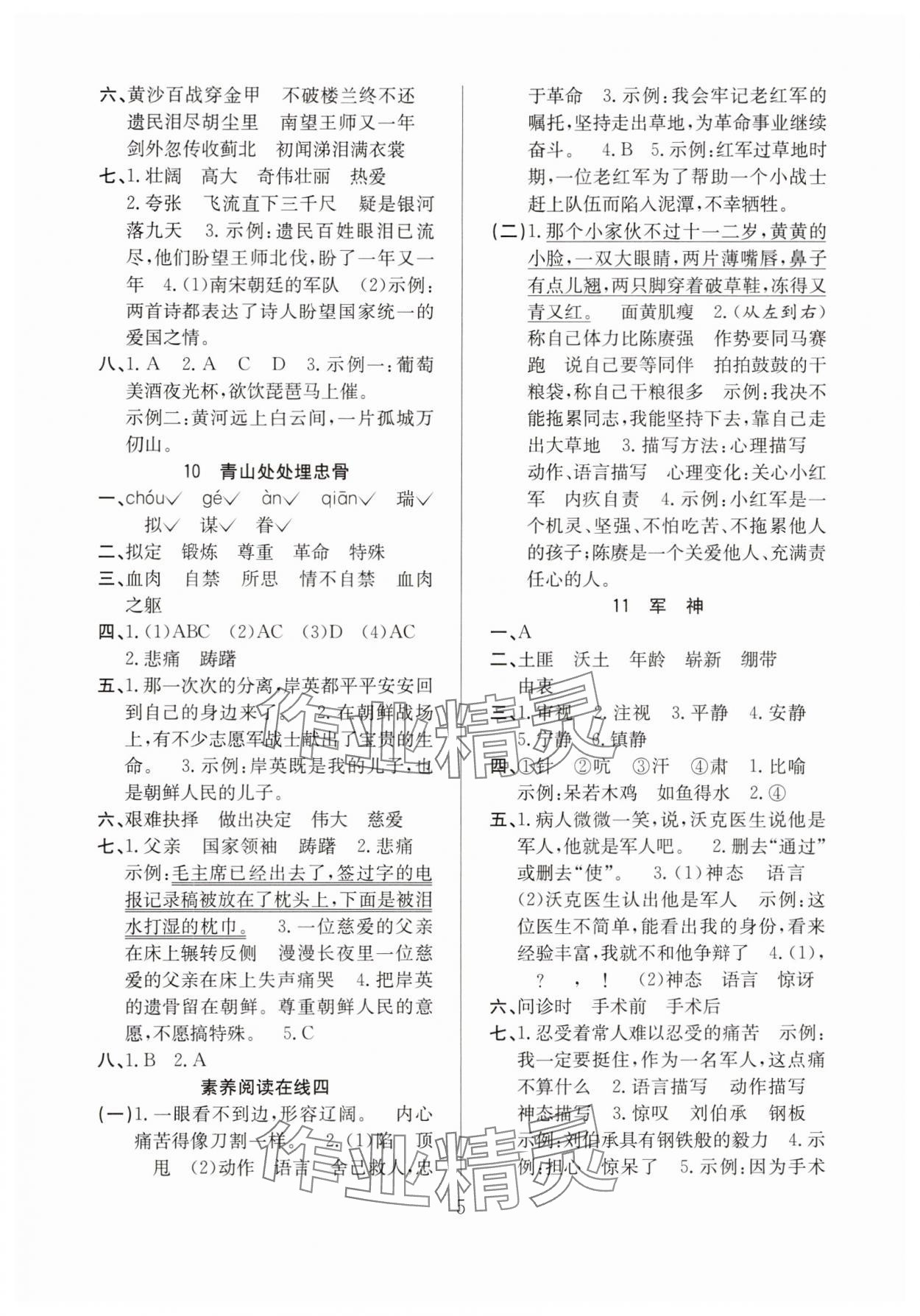 2025年陽光課堂課時作業五年級語文下冊人教版 參考答案第5頁