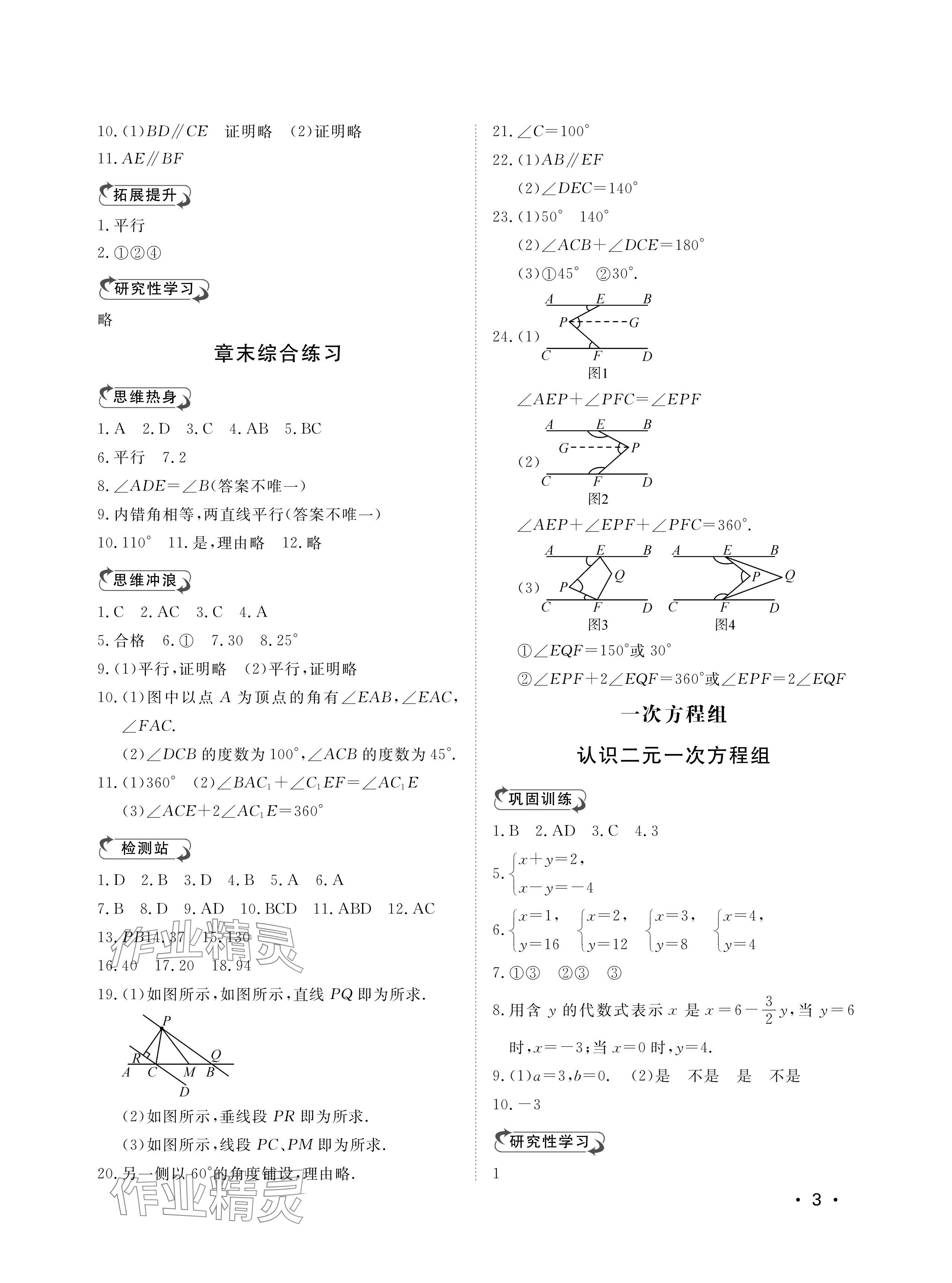 2024年行知天下七年級數(shù)學(xué)下冊青島版 參考答案第3頁