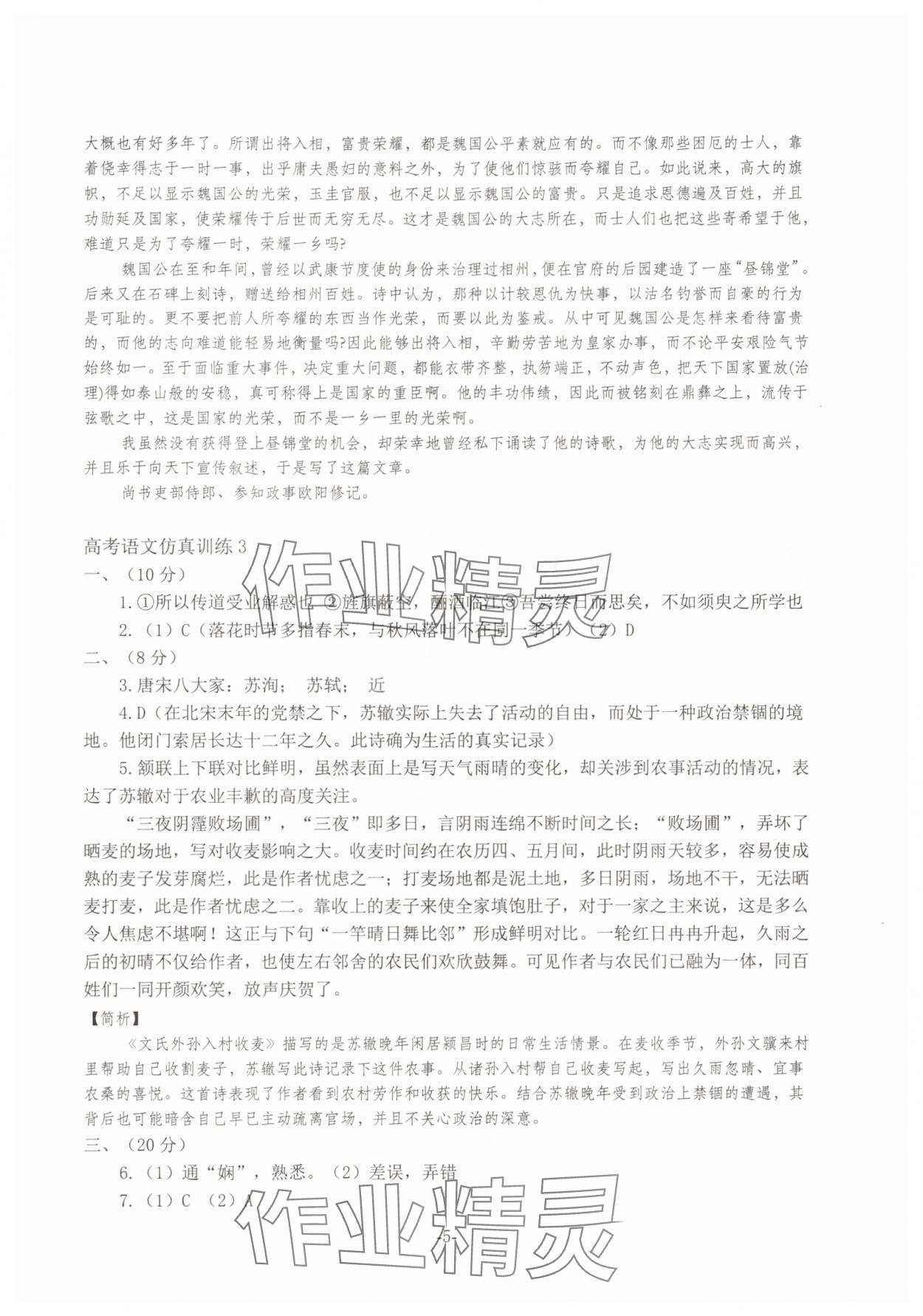 2025年高考語文仿真訓練 第5頁