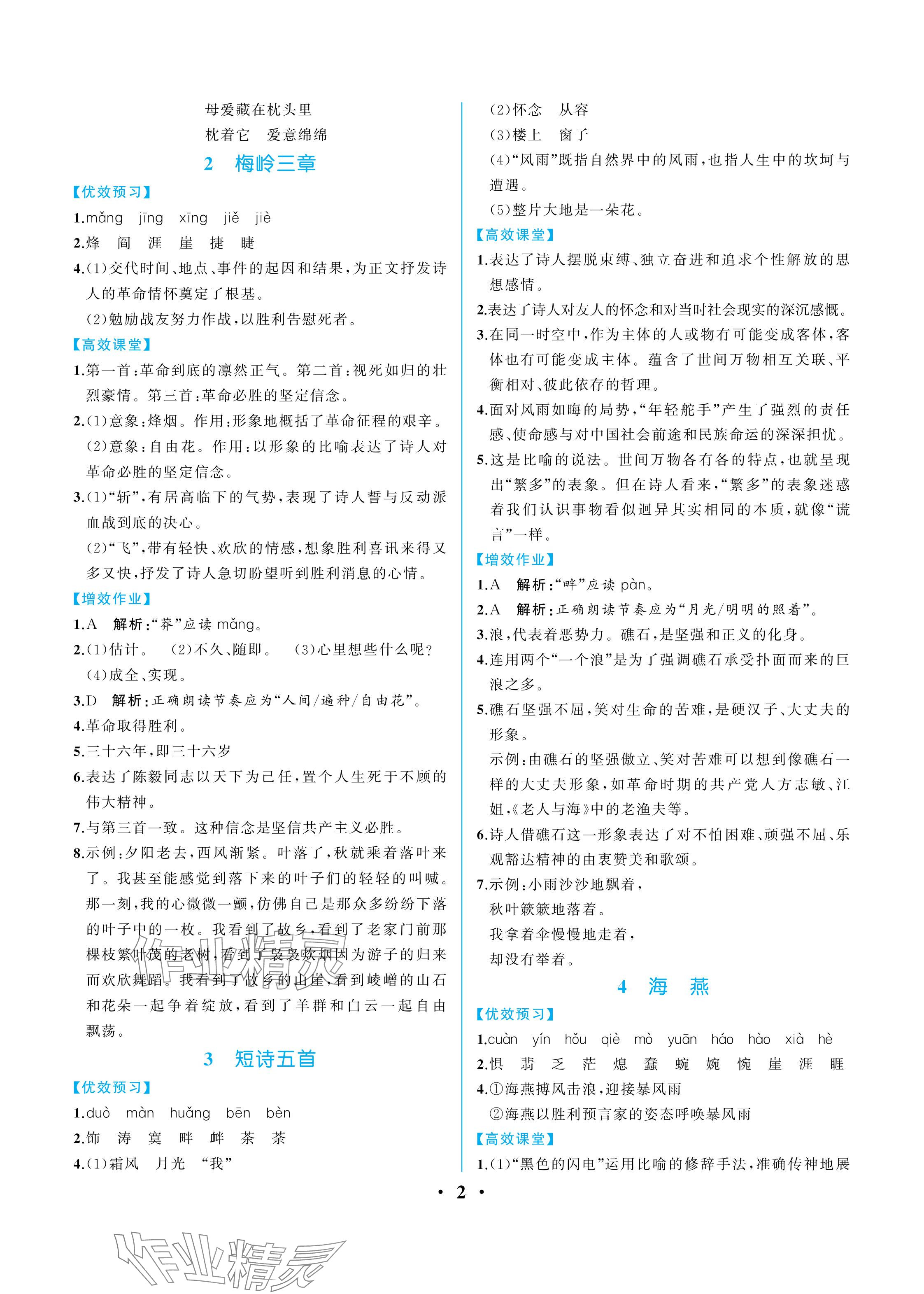 2024年人教金学典同步解析与测评九年级语文下册人教版重庆专版 参考答案第2页