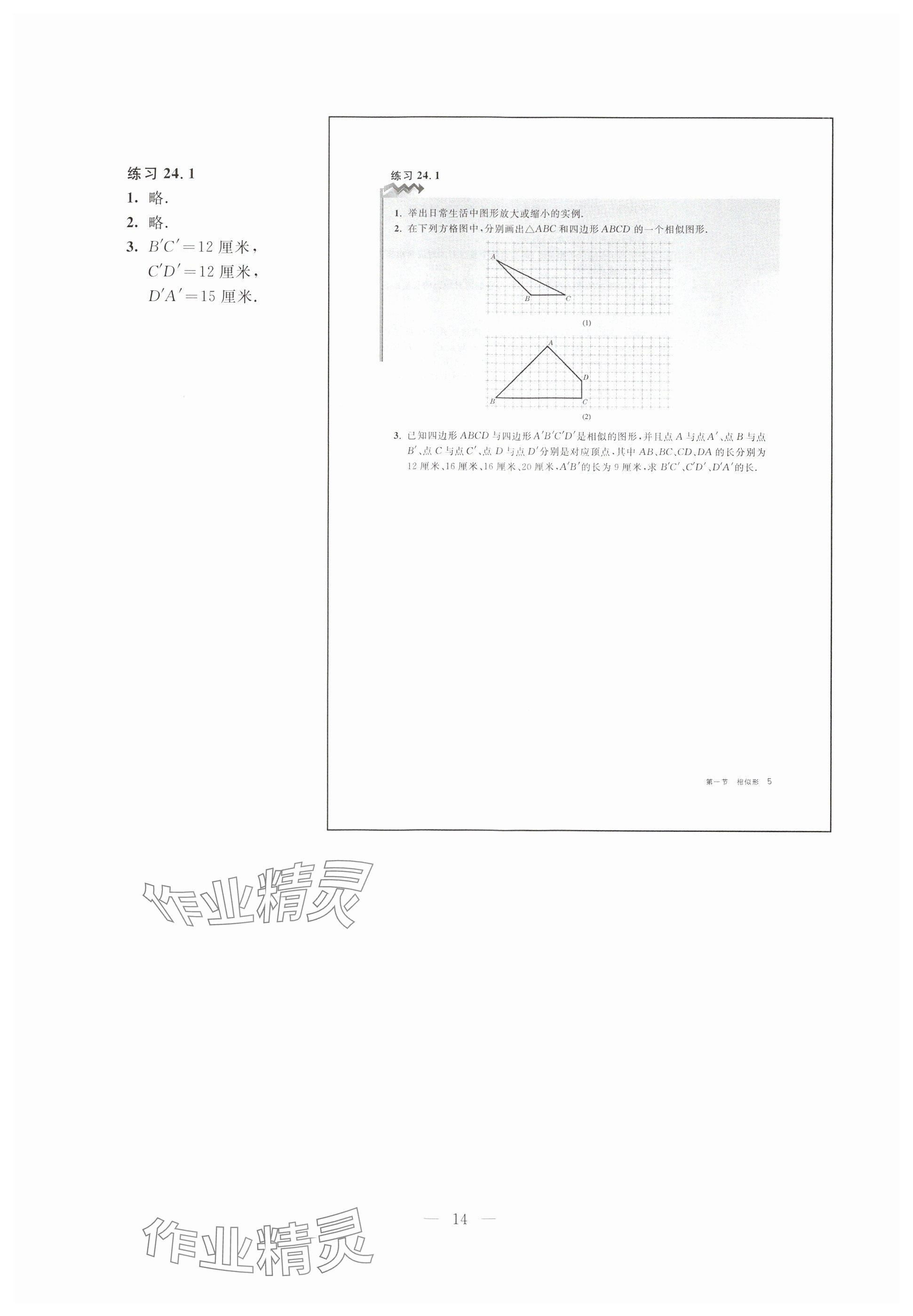 2023年教材課本九年級數學上冊滬教版五四制 參考答案第5頁