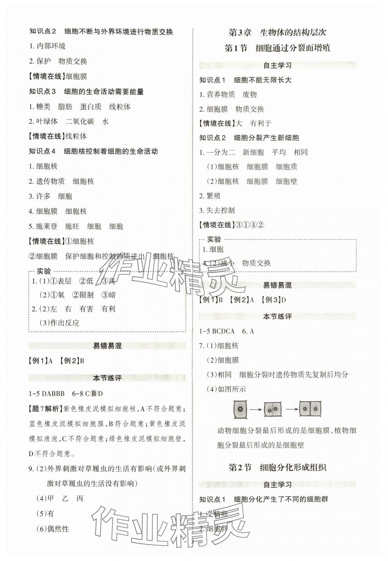 2025年同步沖刺七年級生物上冊北師大版 第3頁