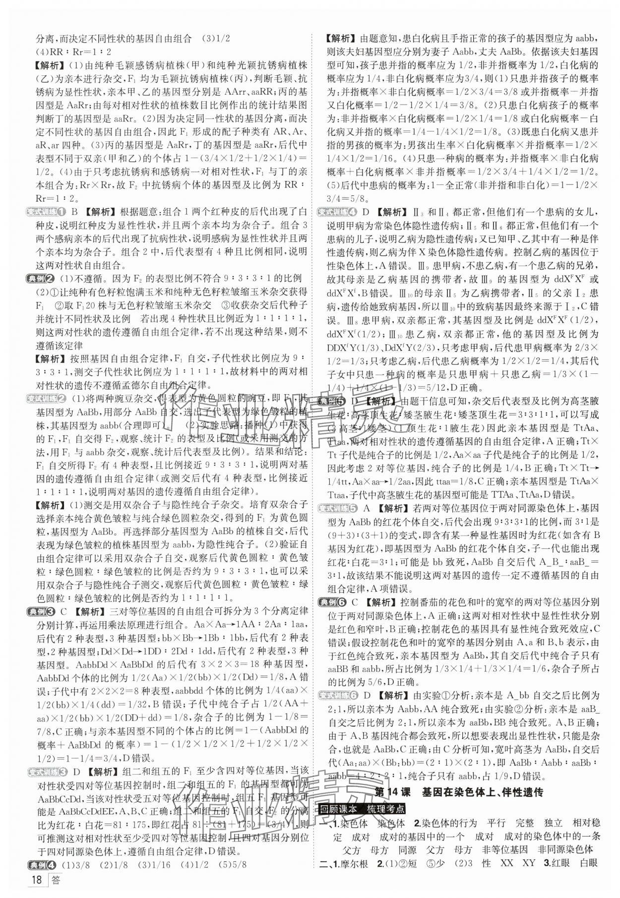 2025年青于藍(lán)高考總復(fù)習(xí)生物 參考答案第18頁(yè)