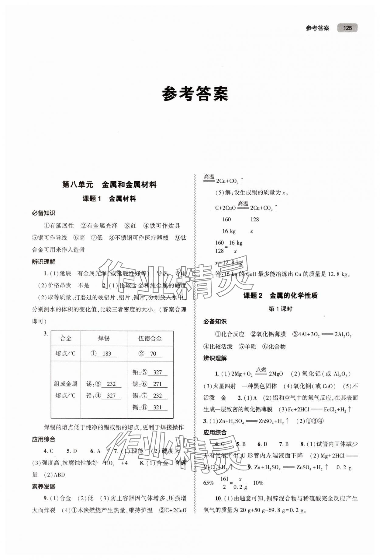 2025年同步練習冊大象出版社九年級化學下冊人教版 第1頁