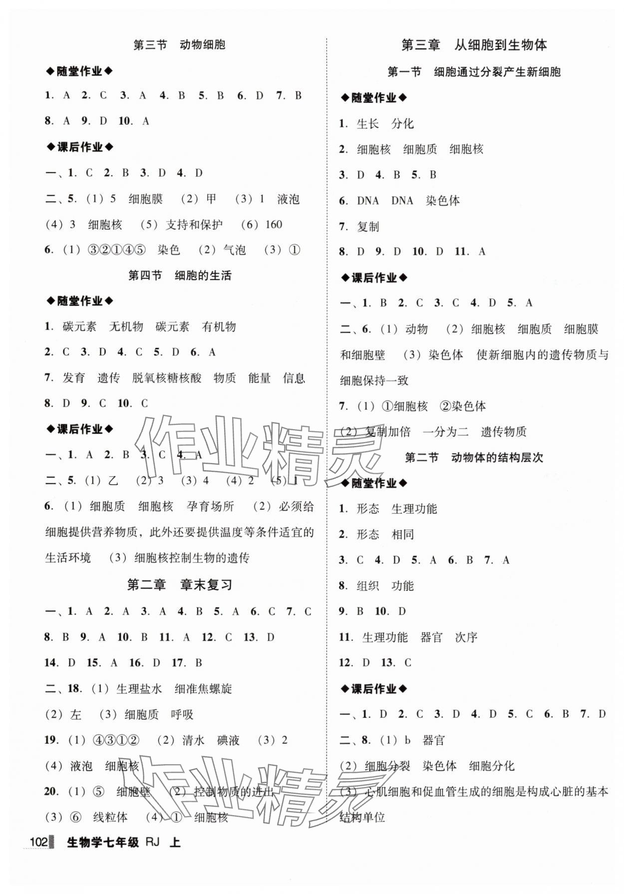 2025年辽宁作业分层培优学案七年级生物上册人教版 第2页