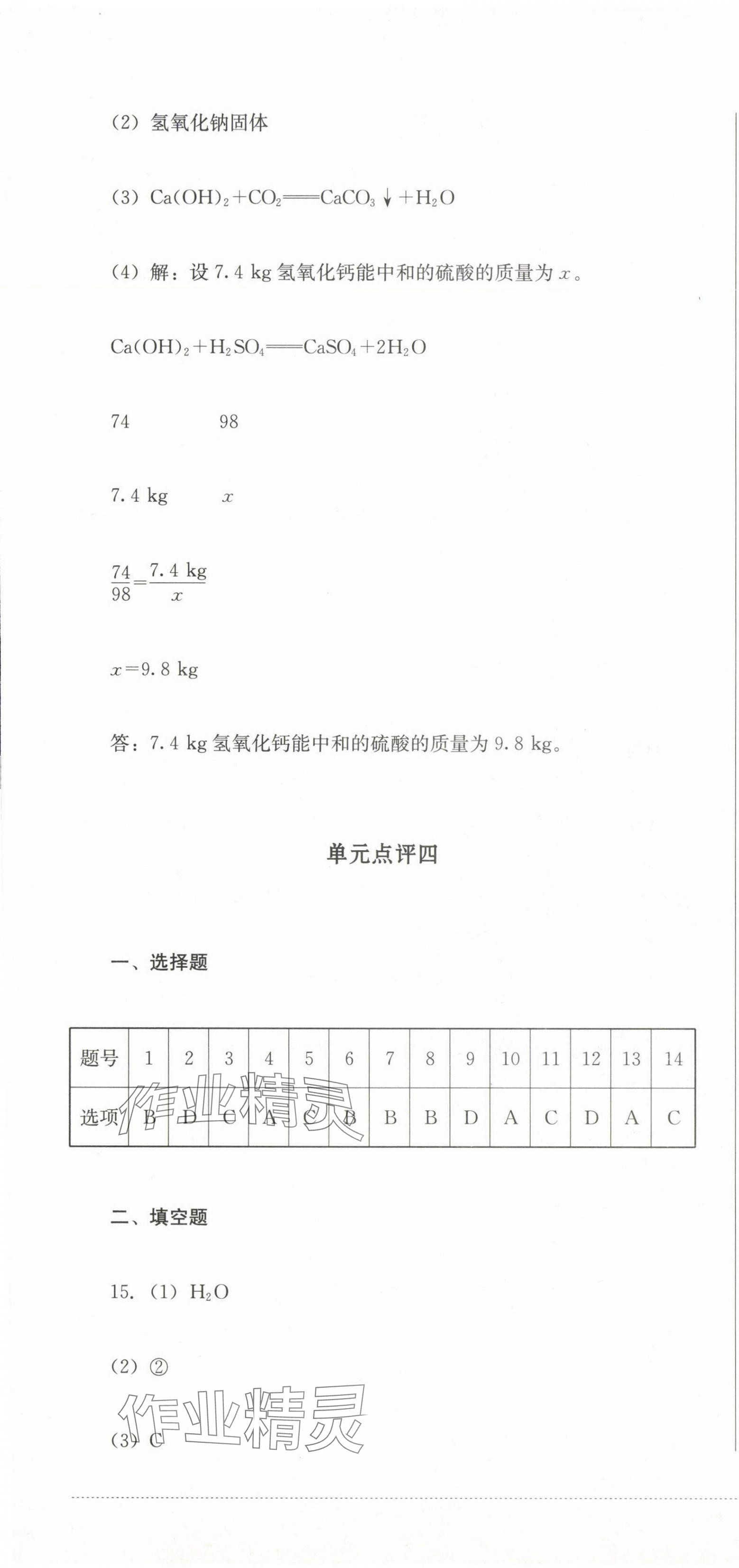 2025年學(xué)情點評四川教育出版社九年級化學(xué)下冊人教版 第7頁