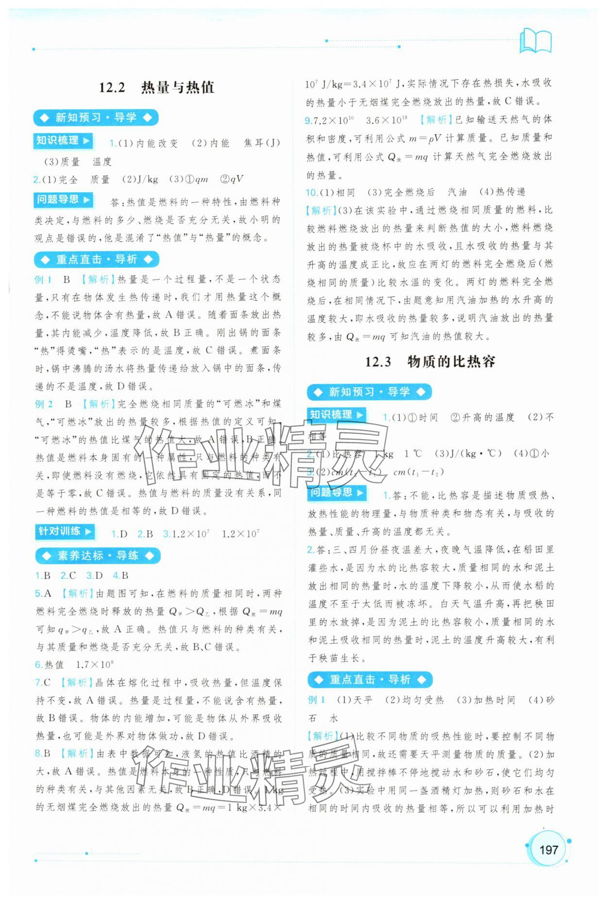 2025年新课程学习与测评同步学习九年级物理全一册沪粤版 参考答案第8页