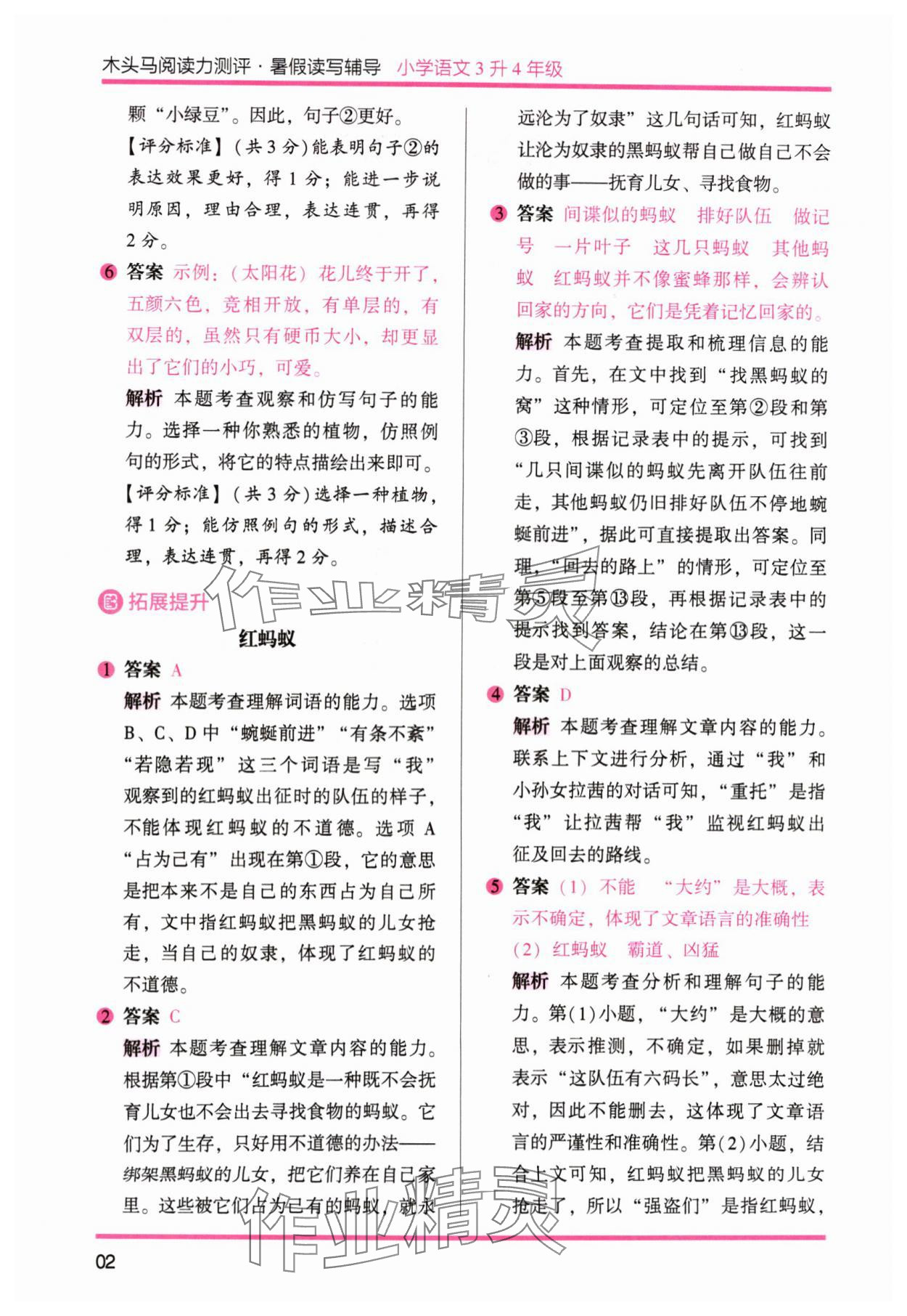 2024年木头马暑假读写辅导3升4语文 参考答案第2页