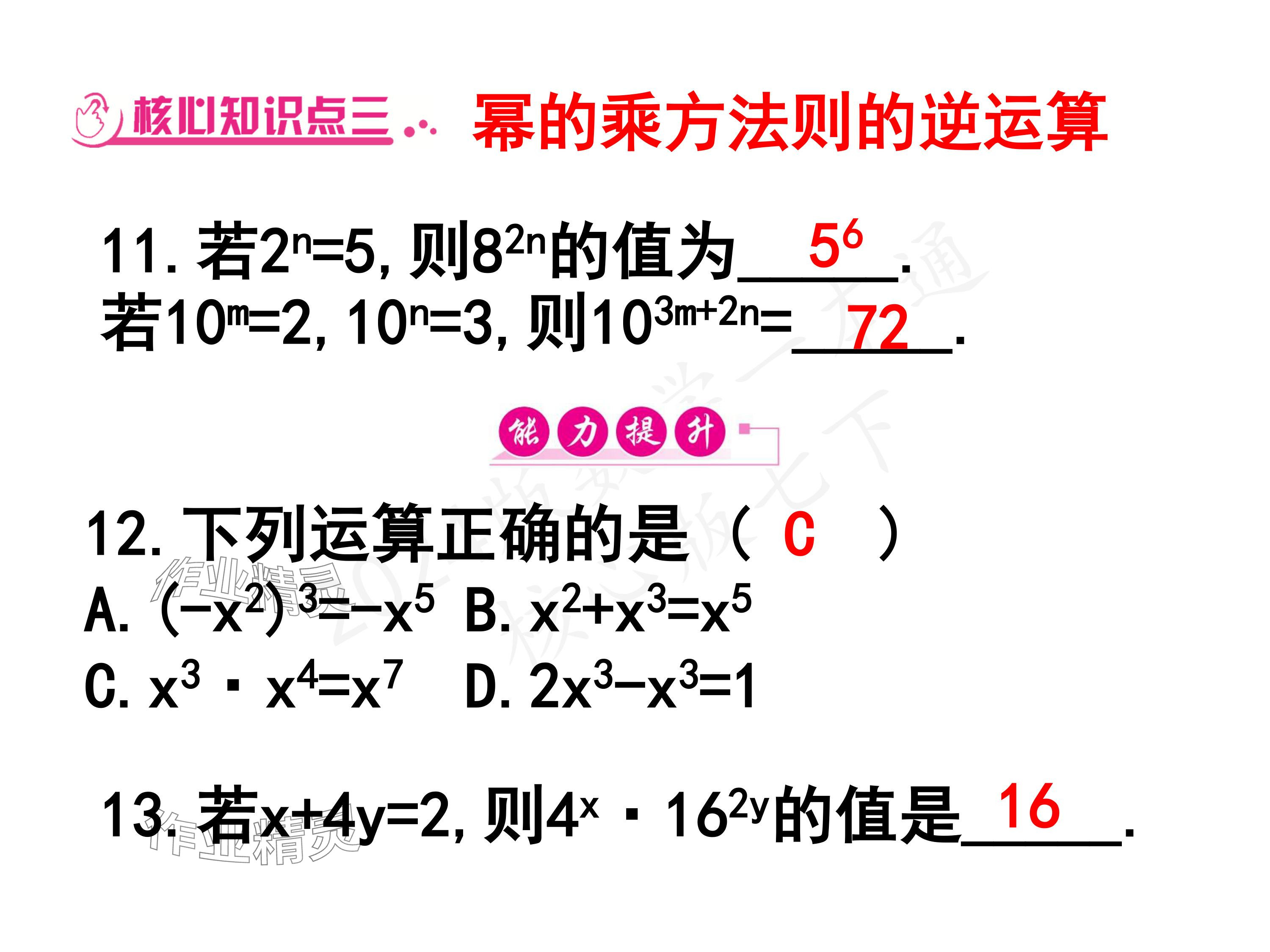 2024年一本通武汉出版社七年级数学下册北师大版 参考答案第46页