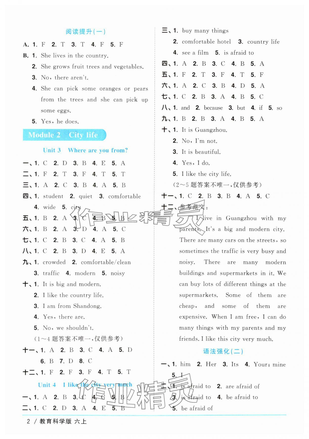 2025年陽光同學課時優(yōu)化作業(yè)六年級英語上冊教科版廣州專版 第2頁