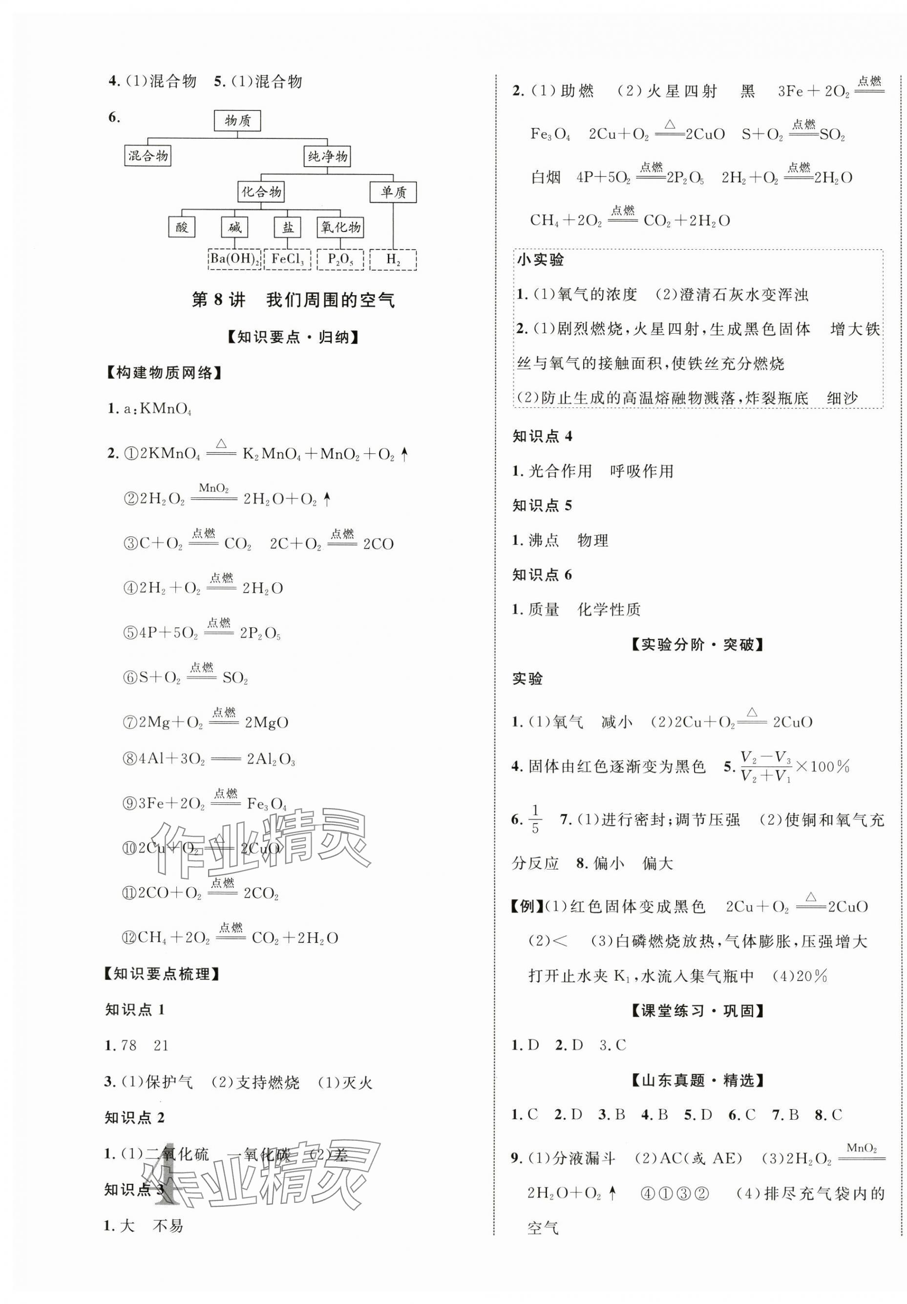 2025年初中總復習手冊北京教育出版社化學 第7頁