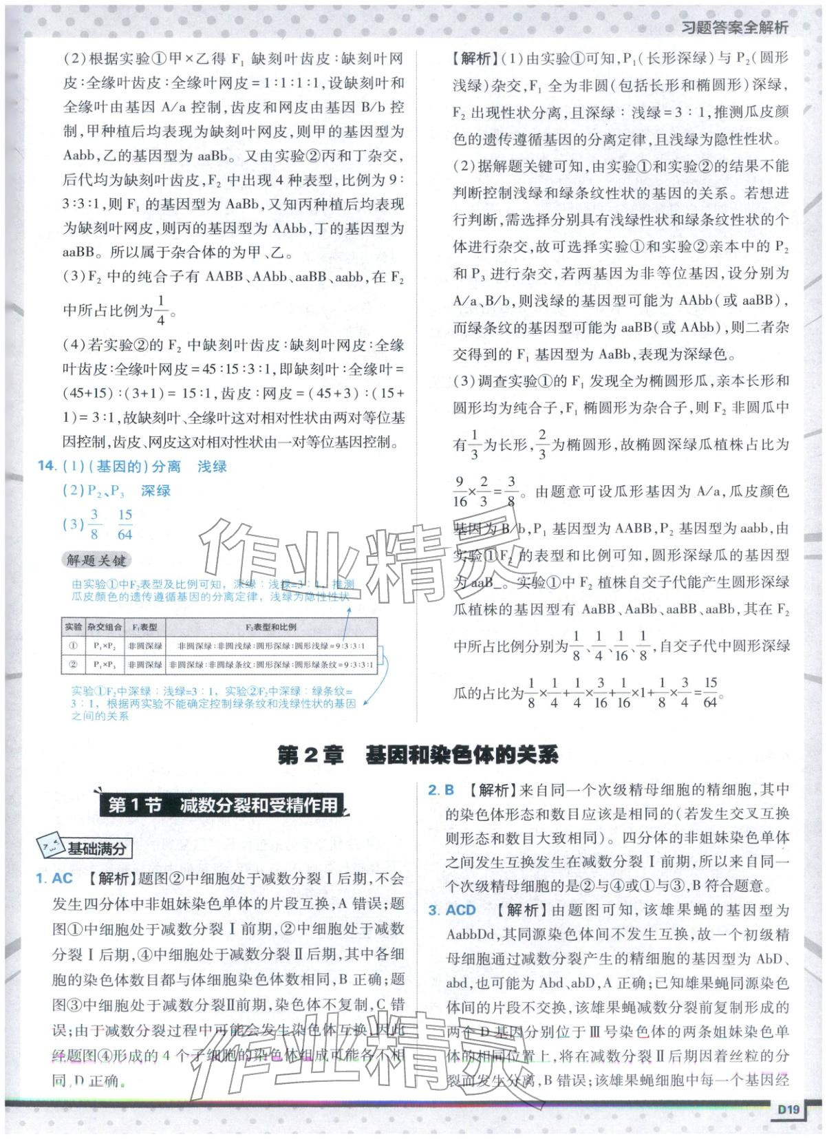 2025年上分攻略高中生物必修第二册人教版&nbsp;第19页