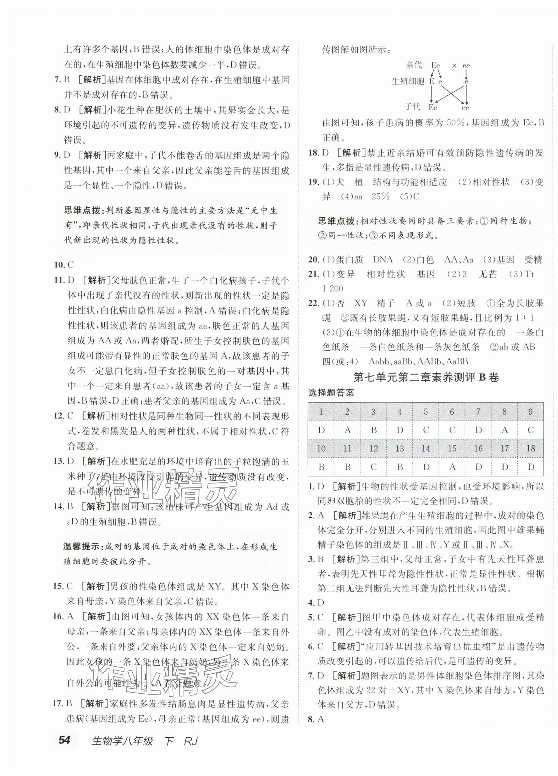 2025年海淀单元测试AB卷八年级生物下册人教版 第3页