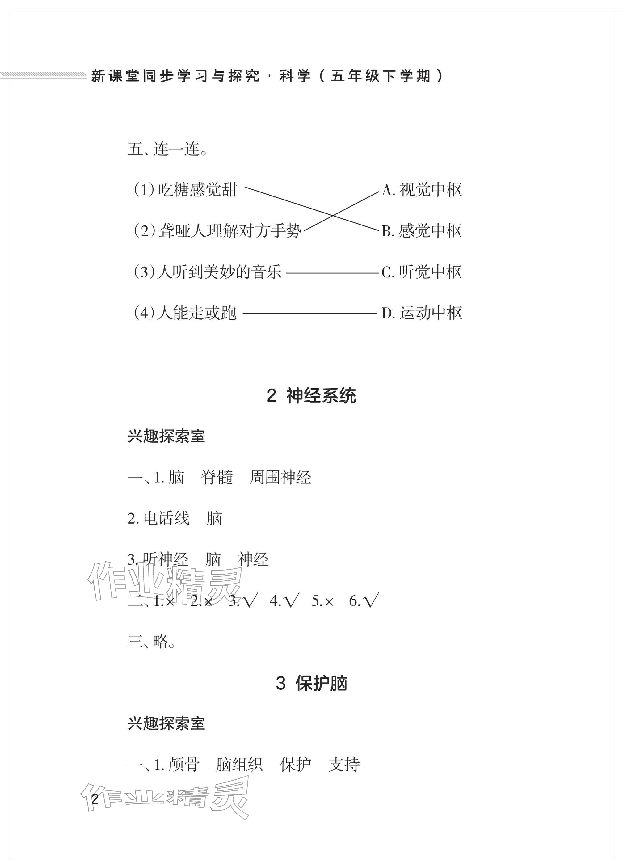 2026年新课堂同步学习与探究五年级科学下册青岛版&nbsp;参考答案第2页