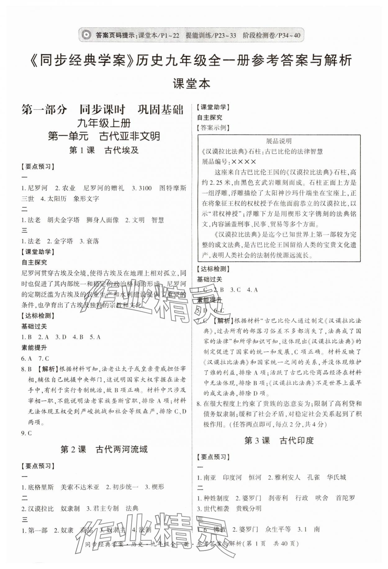 2024年同步經(jīng)典學案九年級歷史全一冊人教版 第1頁